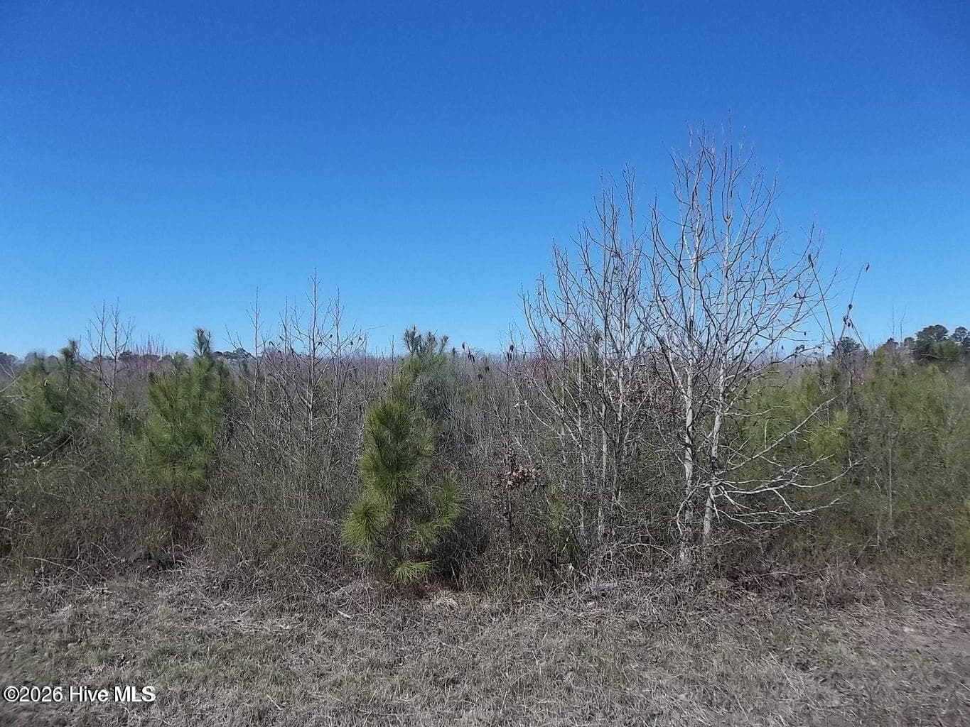 Residential Lot at Tbd 2 Boat Ramp Road, New Hope, NC 27944, photo 2 of 2