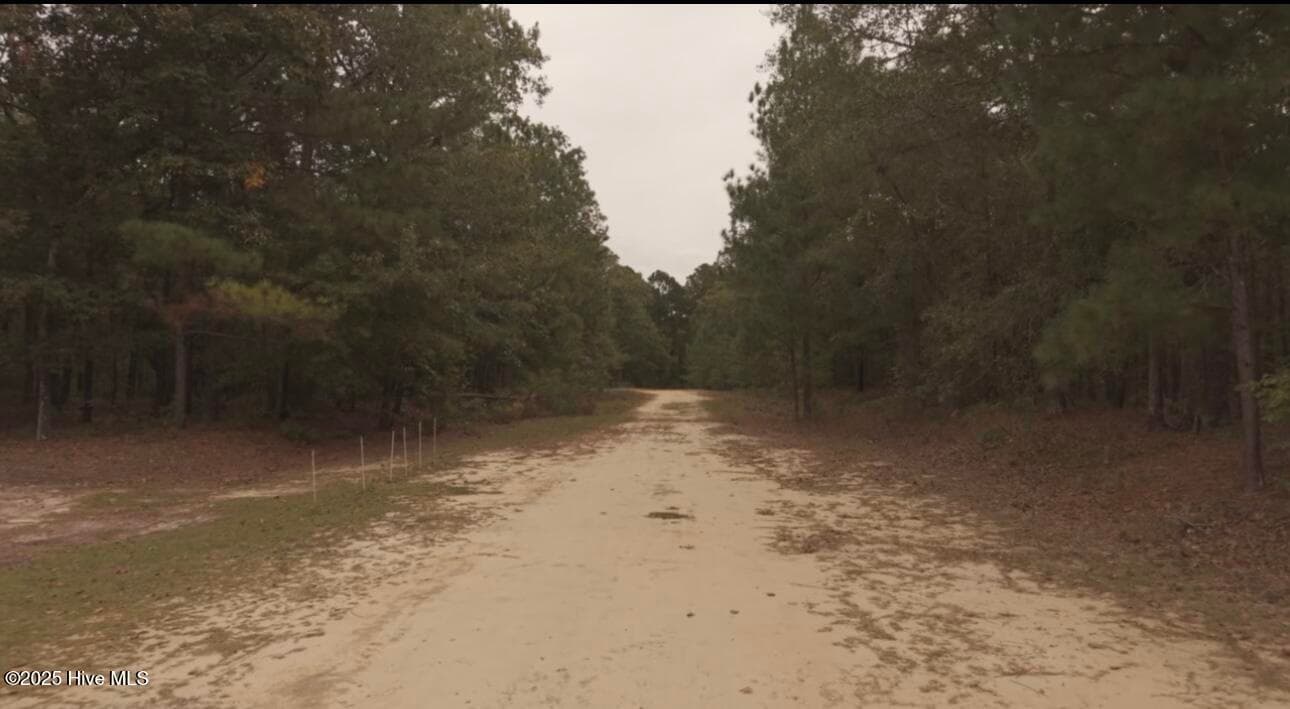 Residential Land at Tbd Brandon Circle, Laurinburg, NC 28352, photo 5 of 14