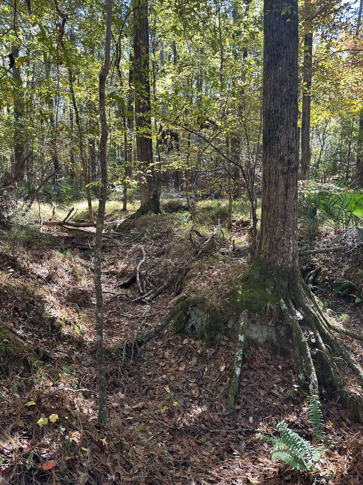 Residential Lot at 167 7 Southwind Drive, McCormick, SC 29835, photo 11 of 18