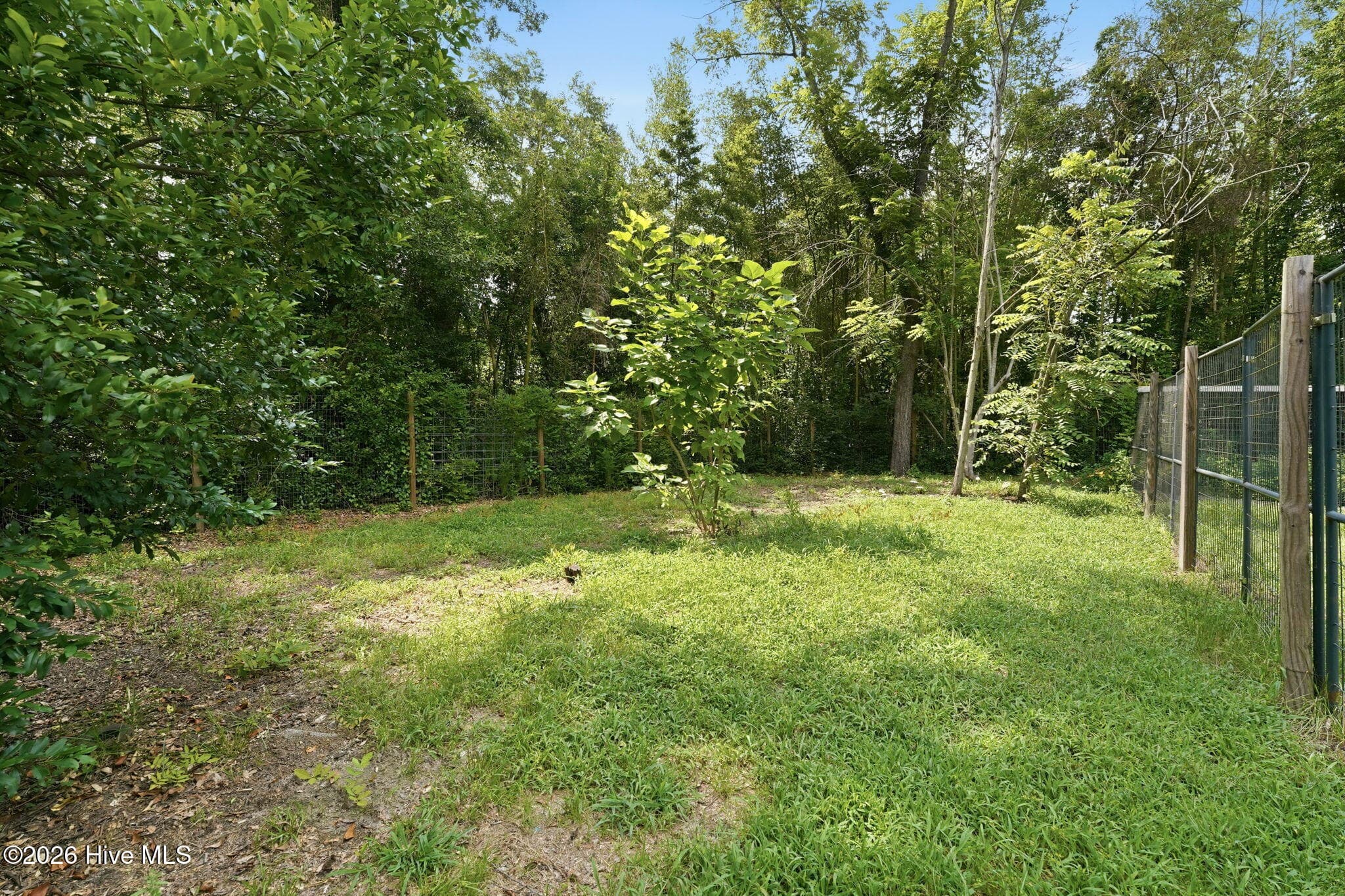 Single Family Residence at 23780 Cotton Street, Wagram, NC 28396, photo 34 of 40