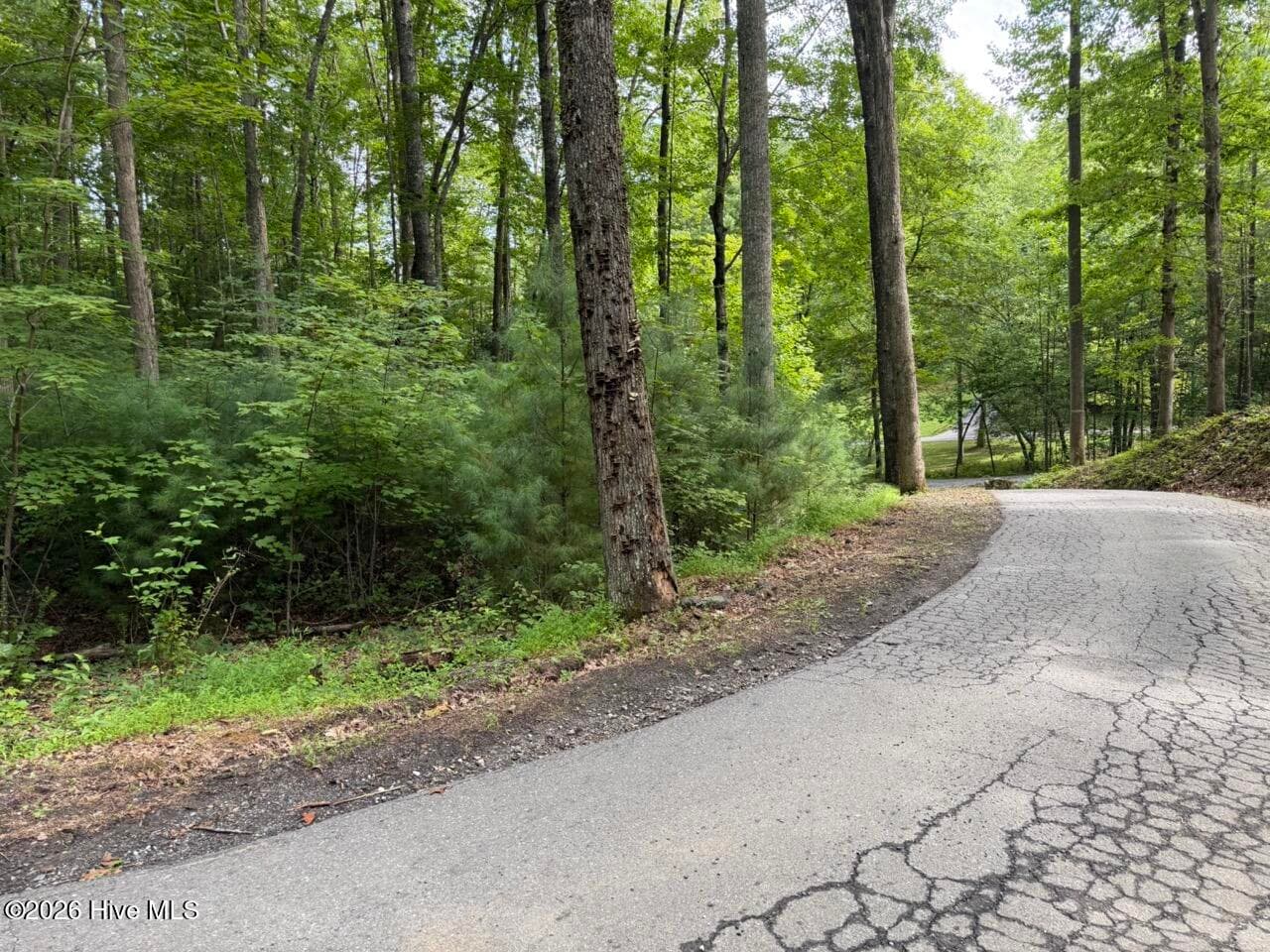 Residential Lot at Lot 9 27 Confederate Circle, Murphy, NC 28906, photo 3 of 7