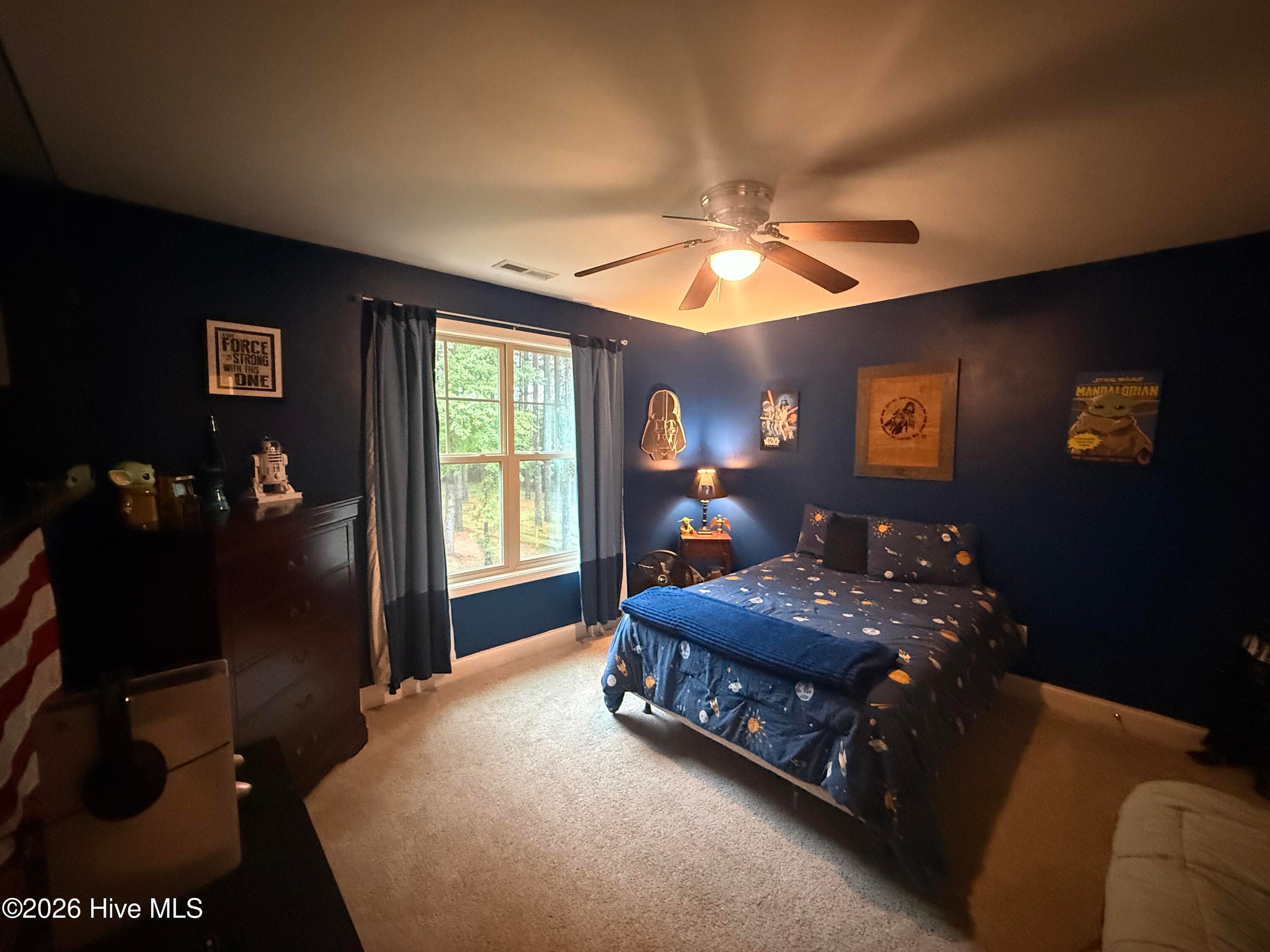 Single Family Residence at 8281 Us Highway 264a, Bailey, NC 27807, Bailey, photo 52 of 65