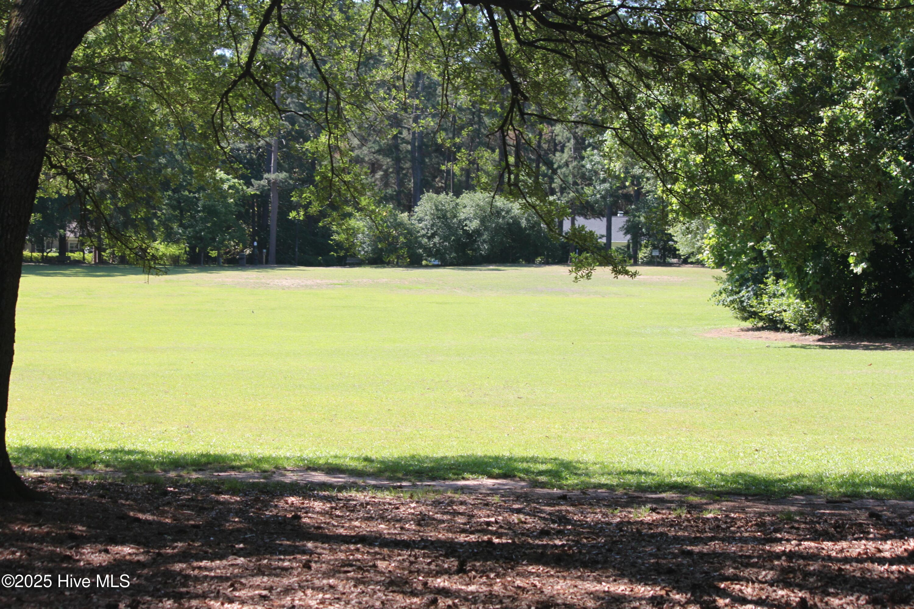 Single Family Residence at 260 N Ridge Street, Southern Pines, NC 28387, photo 45 of 48