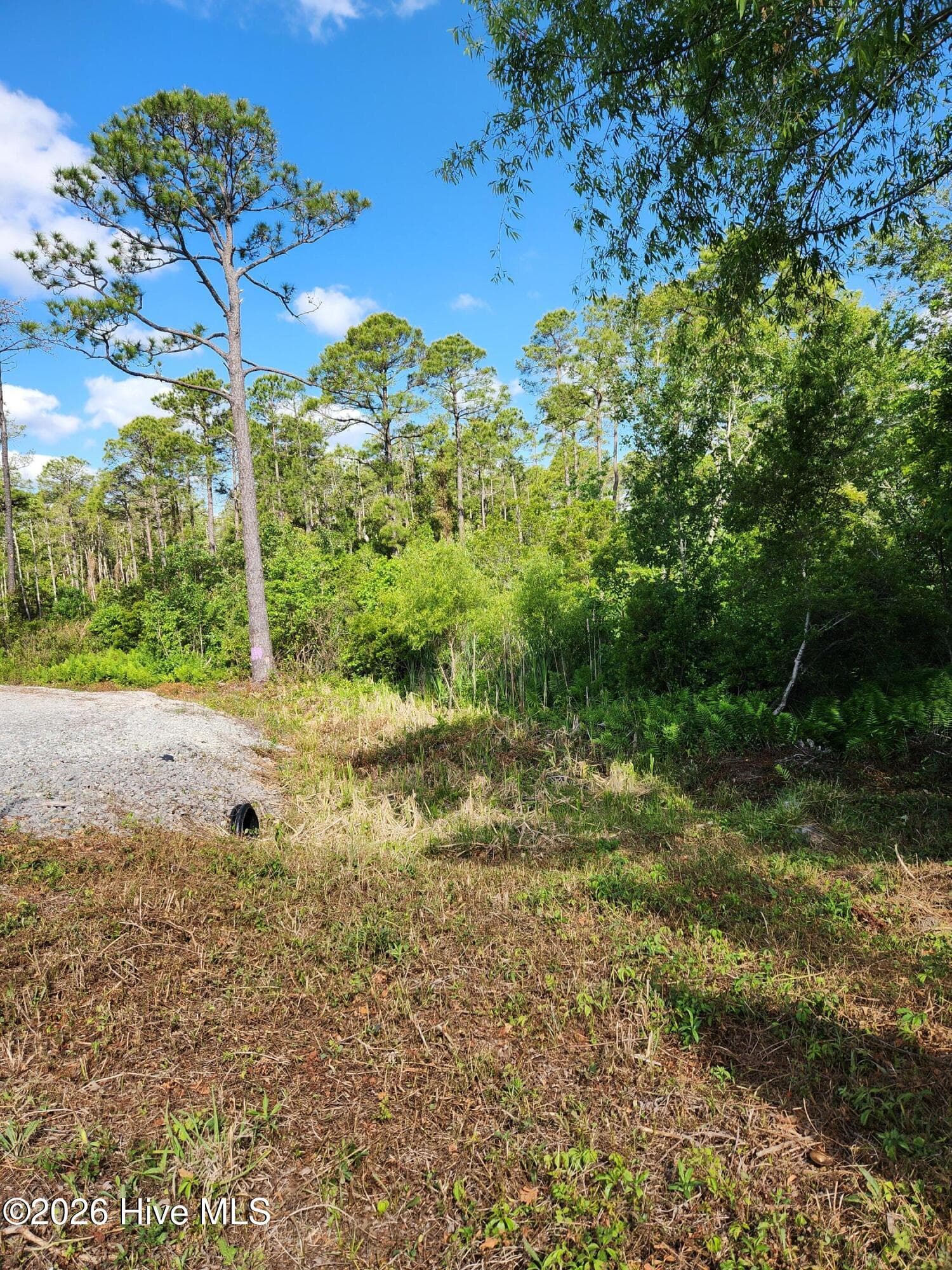 Undeveloped at 372 Greenview Ranches, Wilmington, NC 28411, photo 18 of 61