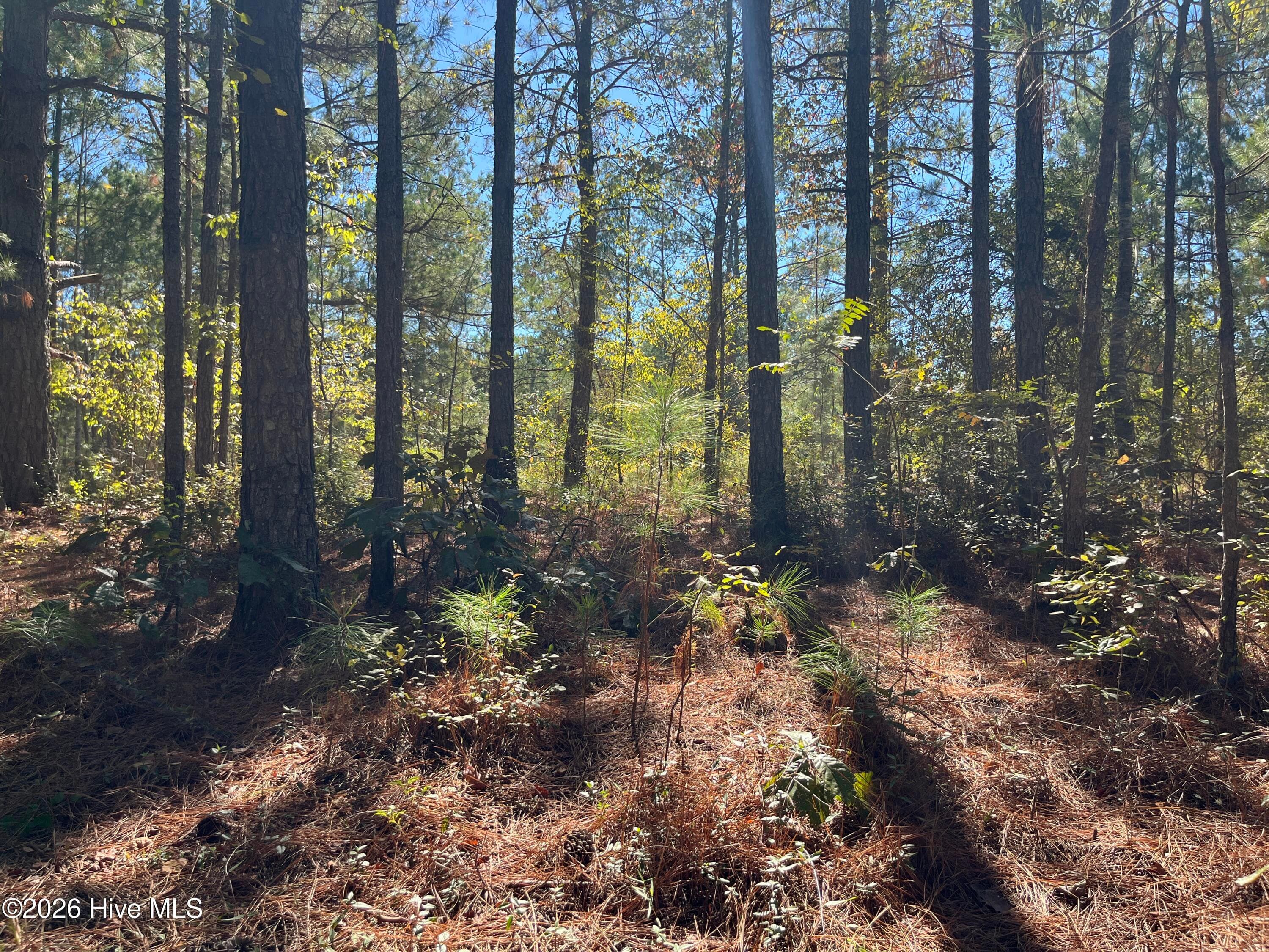 Residential Lot at Lot 9 Jasper Davis Road, Avera, GA 30803, photo 13 of 21