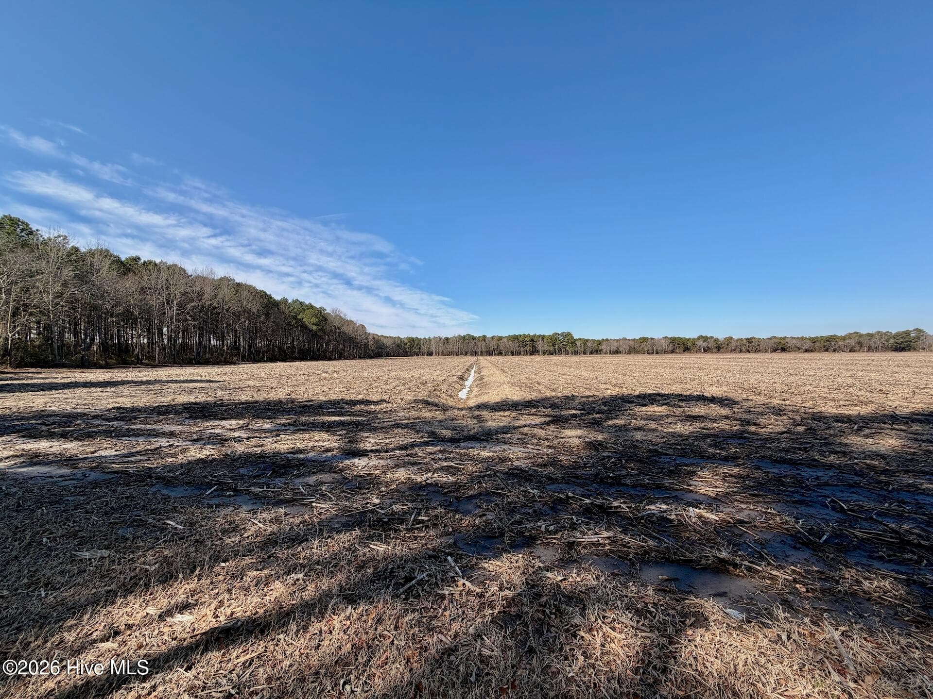 0 Sandy Ridge Road, Tyner, NC 27980
