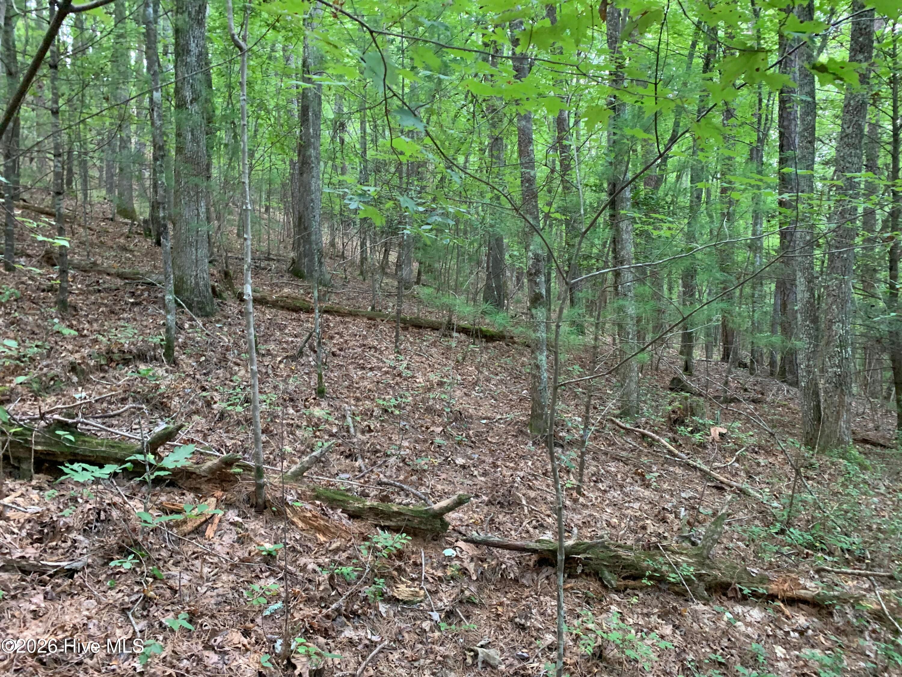 Wooded at 2.87 Ac Hedden Road, Murphy, NC 28906, photo 8 of 14