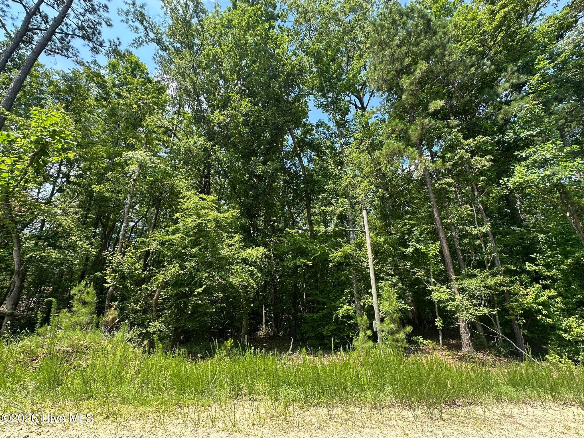 Lot 17 Lakeshore Estates Drive, Lincolnton, GA 30817