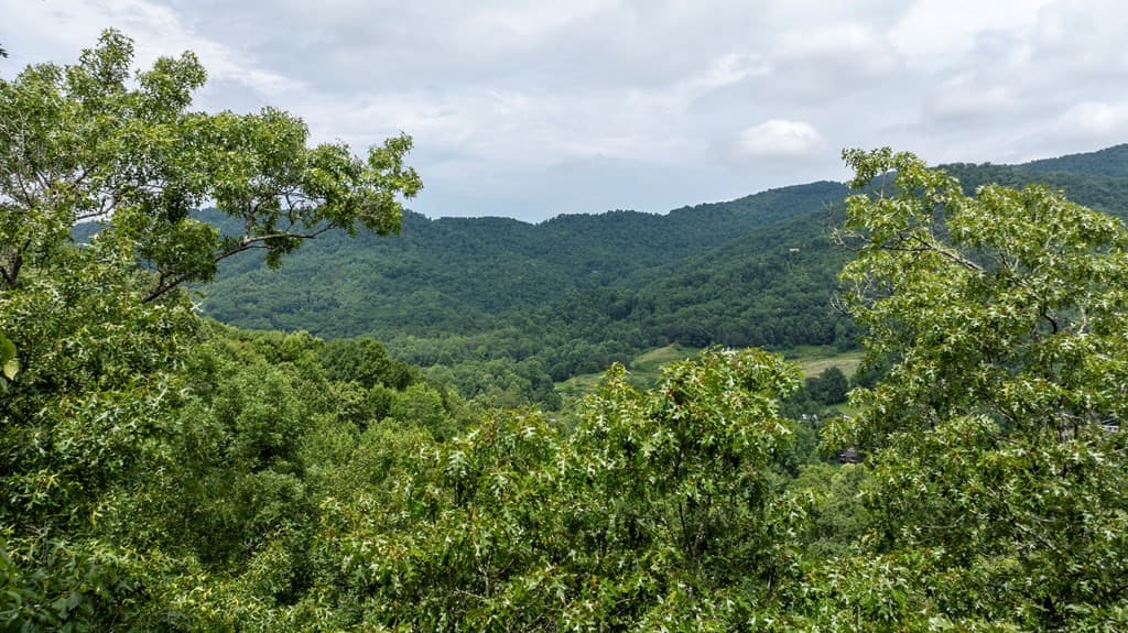 Land at 0 E Buffalo, Robbinsville, NC 28771, photo 2 of 6