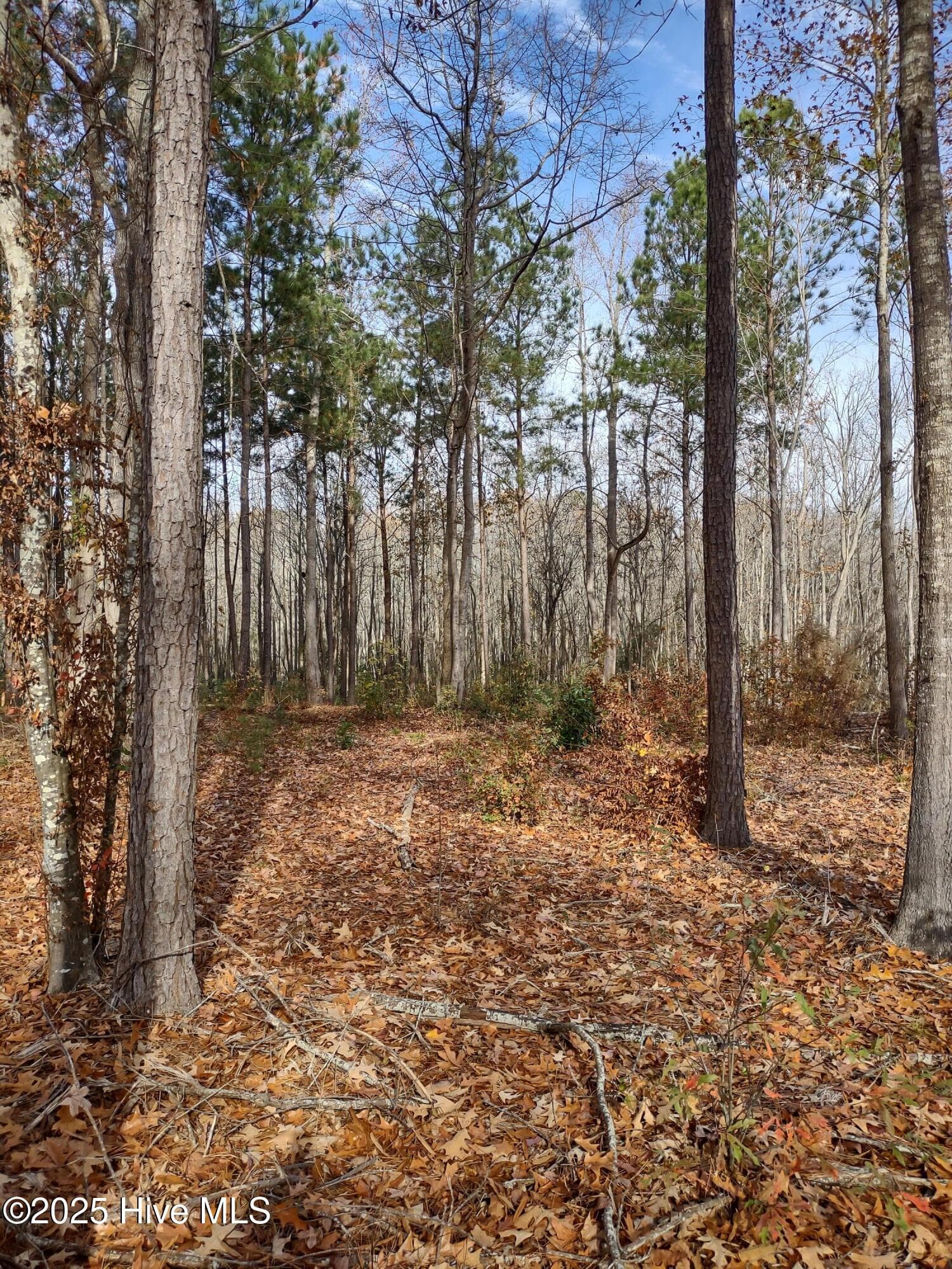 Residential Lot at 1671 Caratoke Highway, Moyock, NC 27958, photo 3 of 3