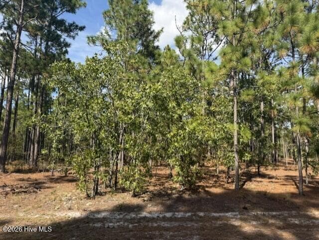 125 Bay Ridge Road, Harrells, NC 28444