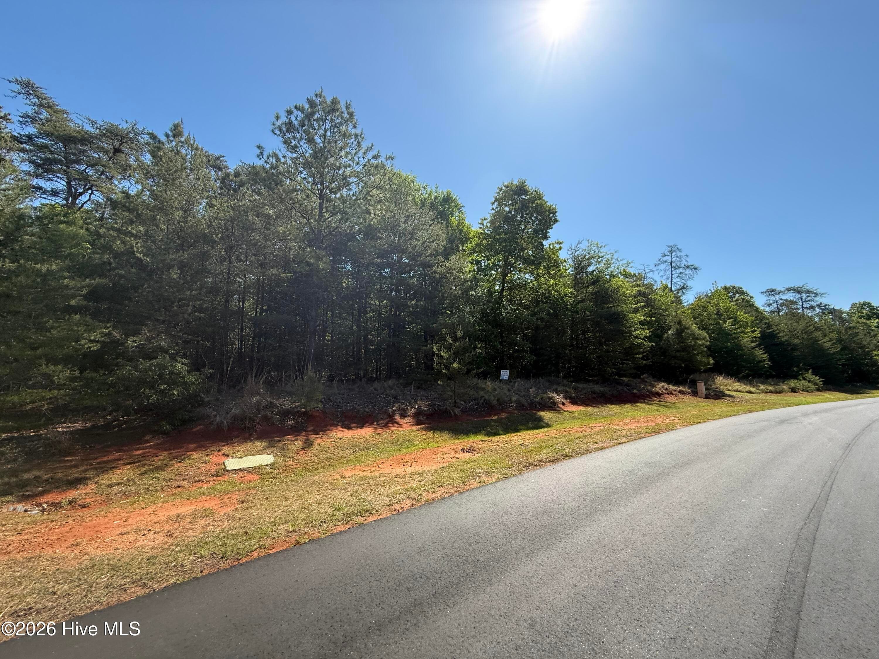 Residential Lot at 176 94 Lakeview Pass, Rockingham, NC 28379, photo 7 of 30
