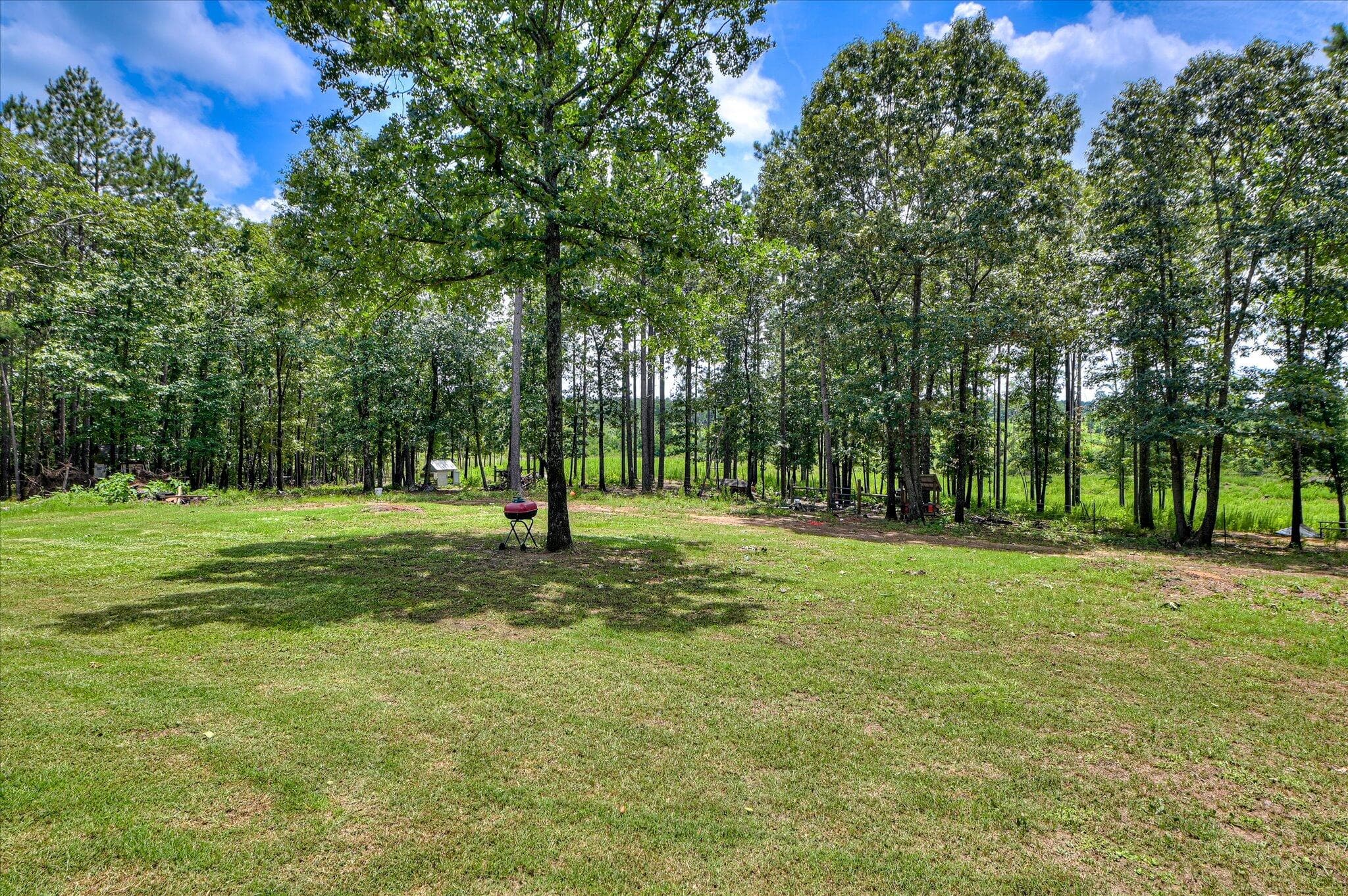 Single Family Residence at 196 Brodie Hall Road, Wagener, SC 29164, photo 42 of 42