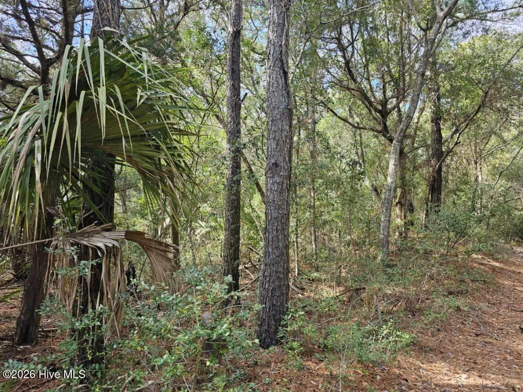 Residential Land at 5 Musket Court, Bald Head Island, NC 28461, photo 3 of 4