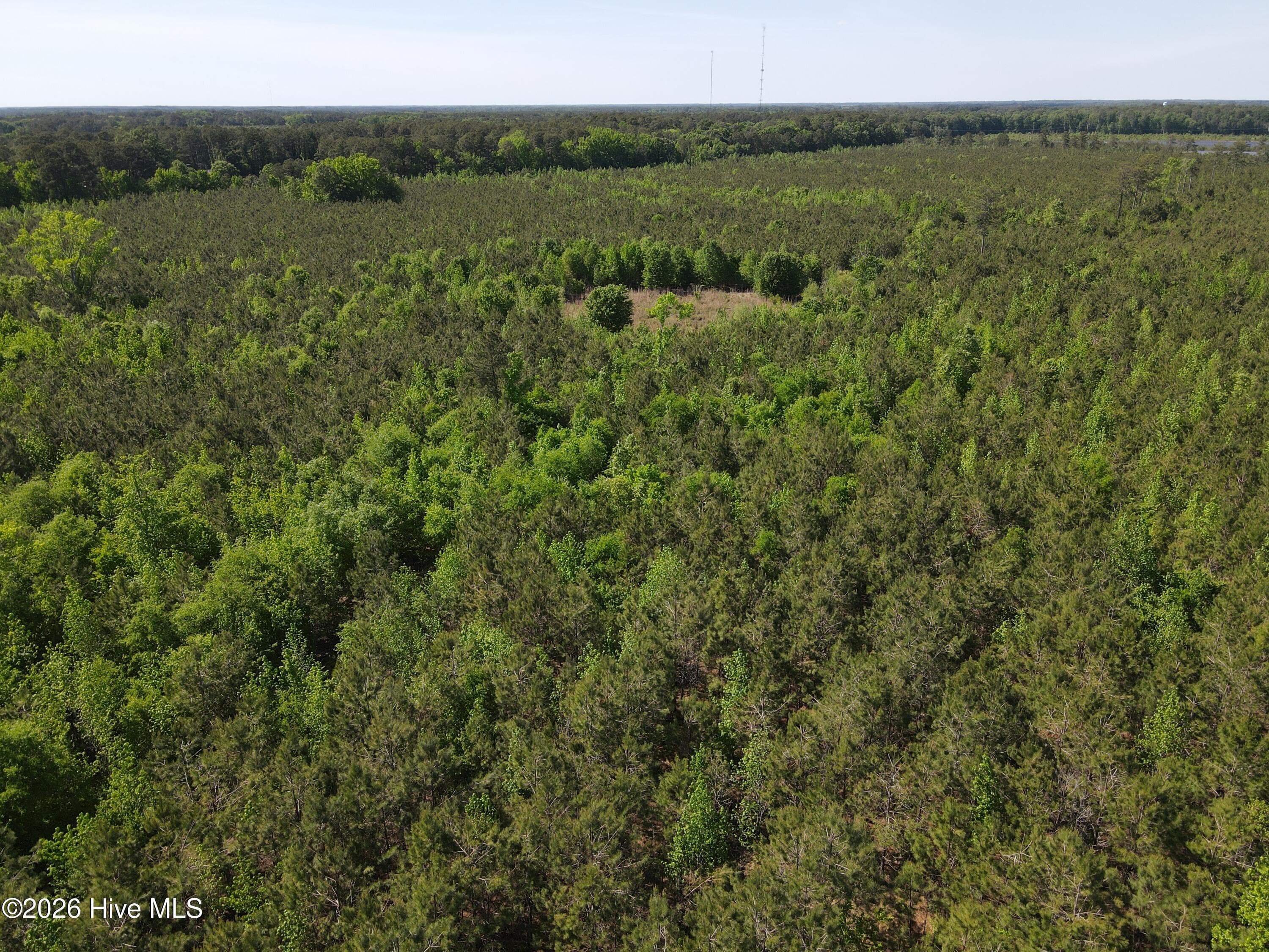 Undeveloped at 0 Colice Hall Lane, Ahoskie, NC 27910, photo 12 of 20