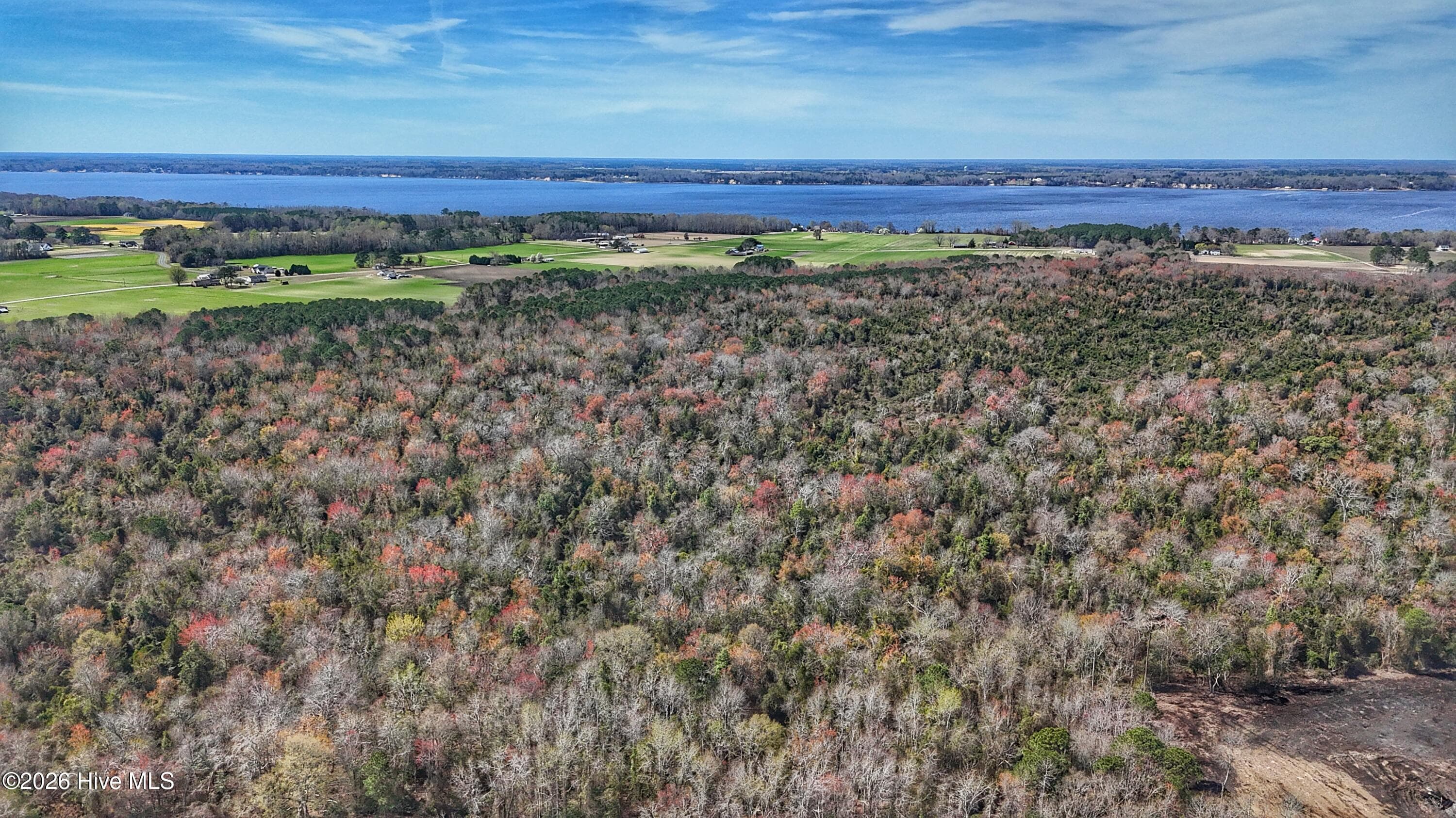 Wooded at 1612 Rocky Hock Landing Road, Edenton, NC 27932, photo 13 of 45