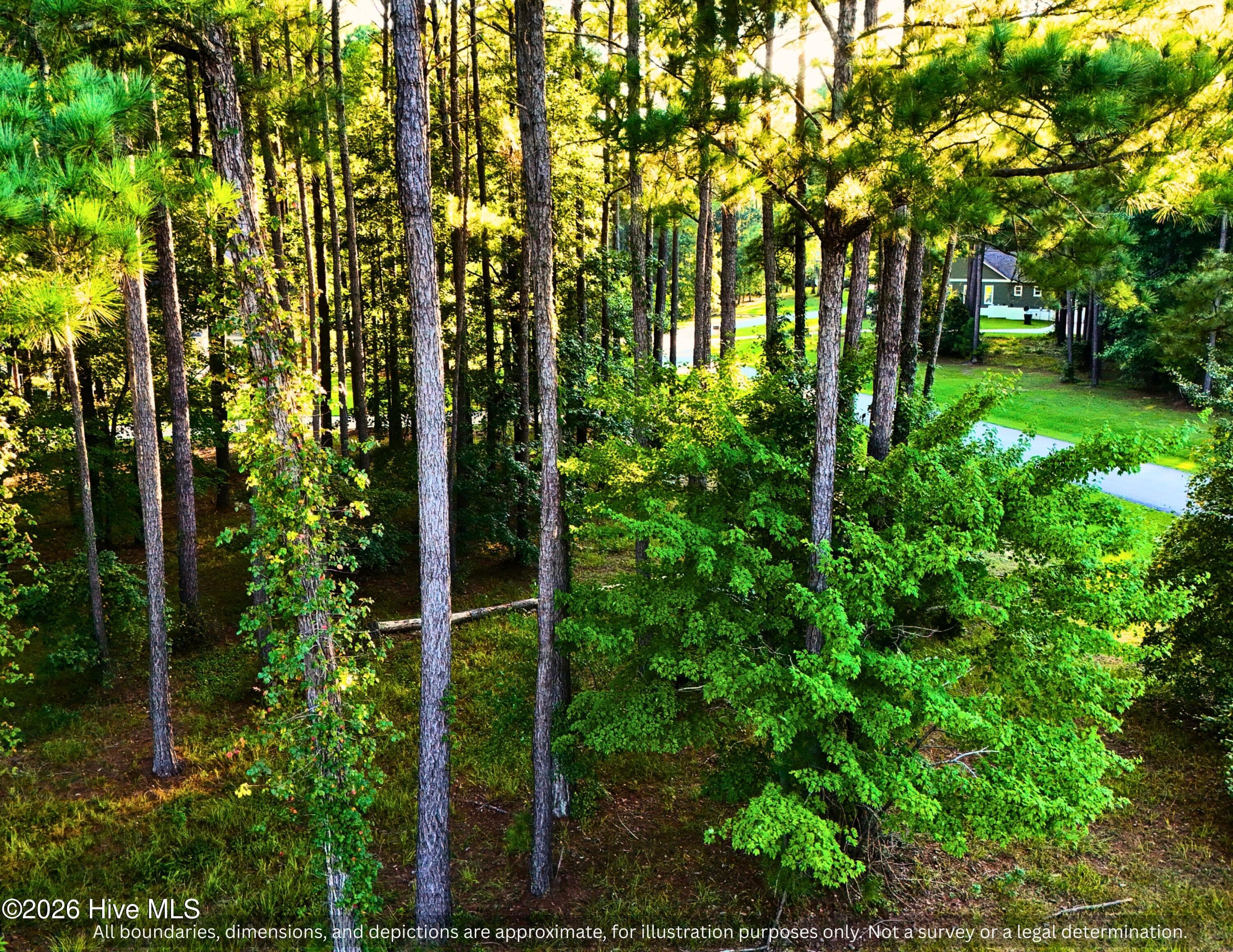 3 bedroom septic permit vacant land North Carolina - 0000-0000 LOT 83 Mill Creek Drive, Minnesott Beach, NC 28510
