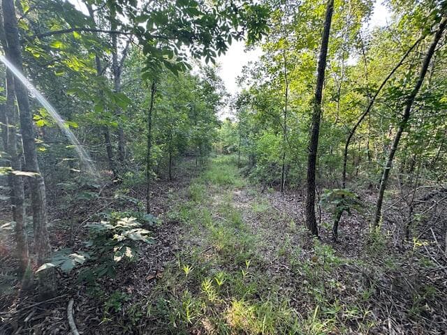 Undeveloped at 2576 Jessie James Pond Road, Wrens, GA 30833, photo 46 of 56
