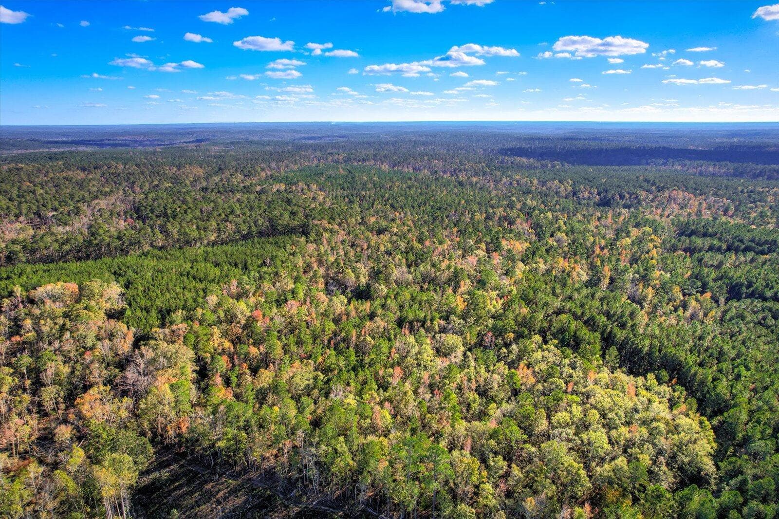 Undeveloped at Tbd2 Sc-23, Edgefield, SC 29824, photo 15 of 41