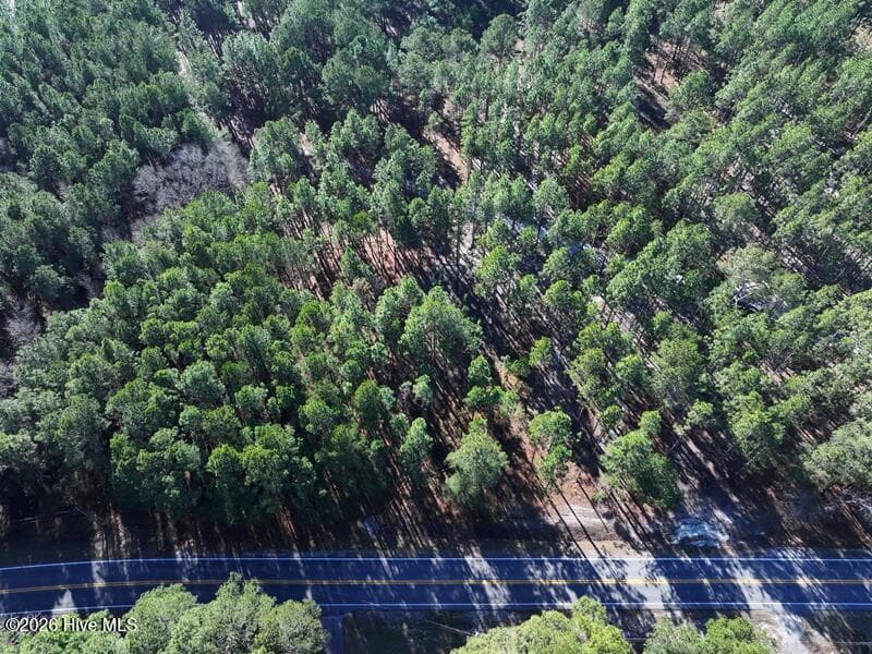 Wooded at Tbd 7 Nc Hwy 130 Road, Fairmont, NC 28340, photo 5 of 10