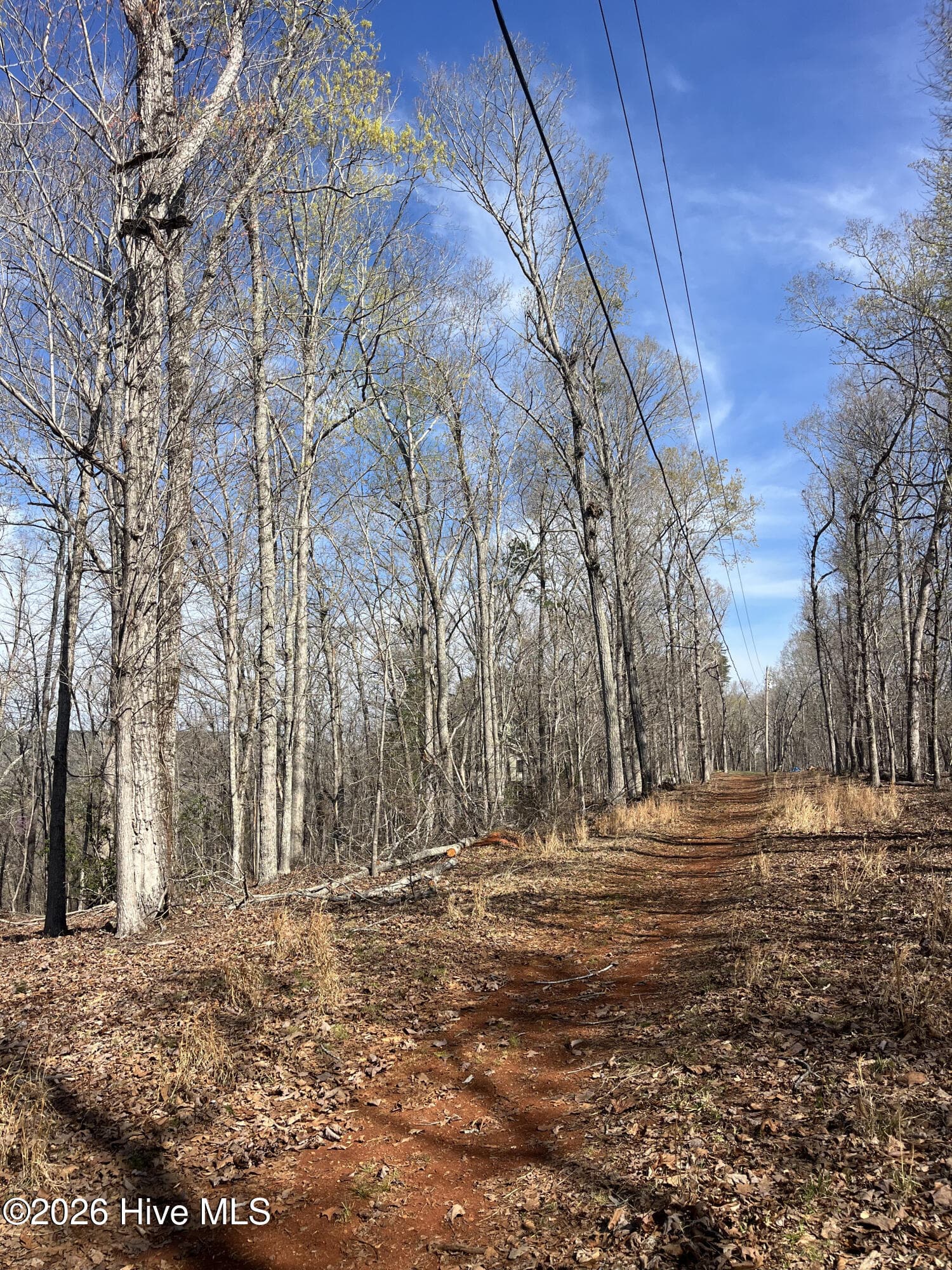Undeveloped at Tbd Haltiwanger Retreat Road, Troy, NC 27371, photo 11 of 21