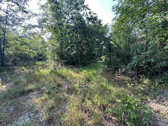 Undeveloped at 2576 Jessie James Pond Road, Wrens, GA 30833, photo 51 of 56