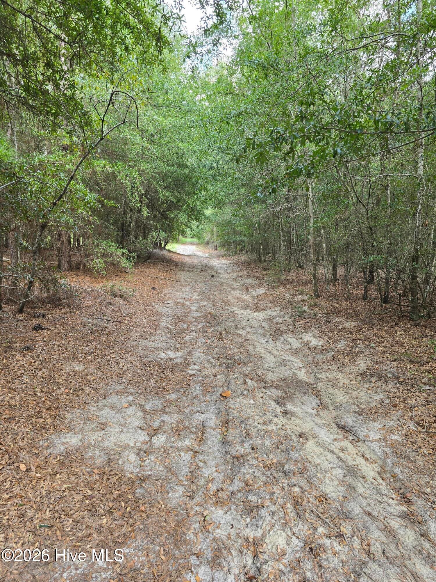 Mixed Use at 317 R J Johnson Road, Allendale, SC 29810, photo 7 of 8
