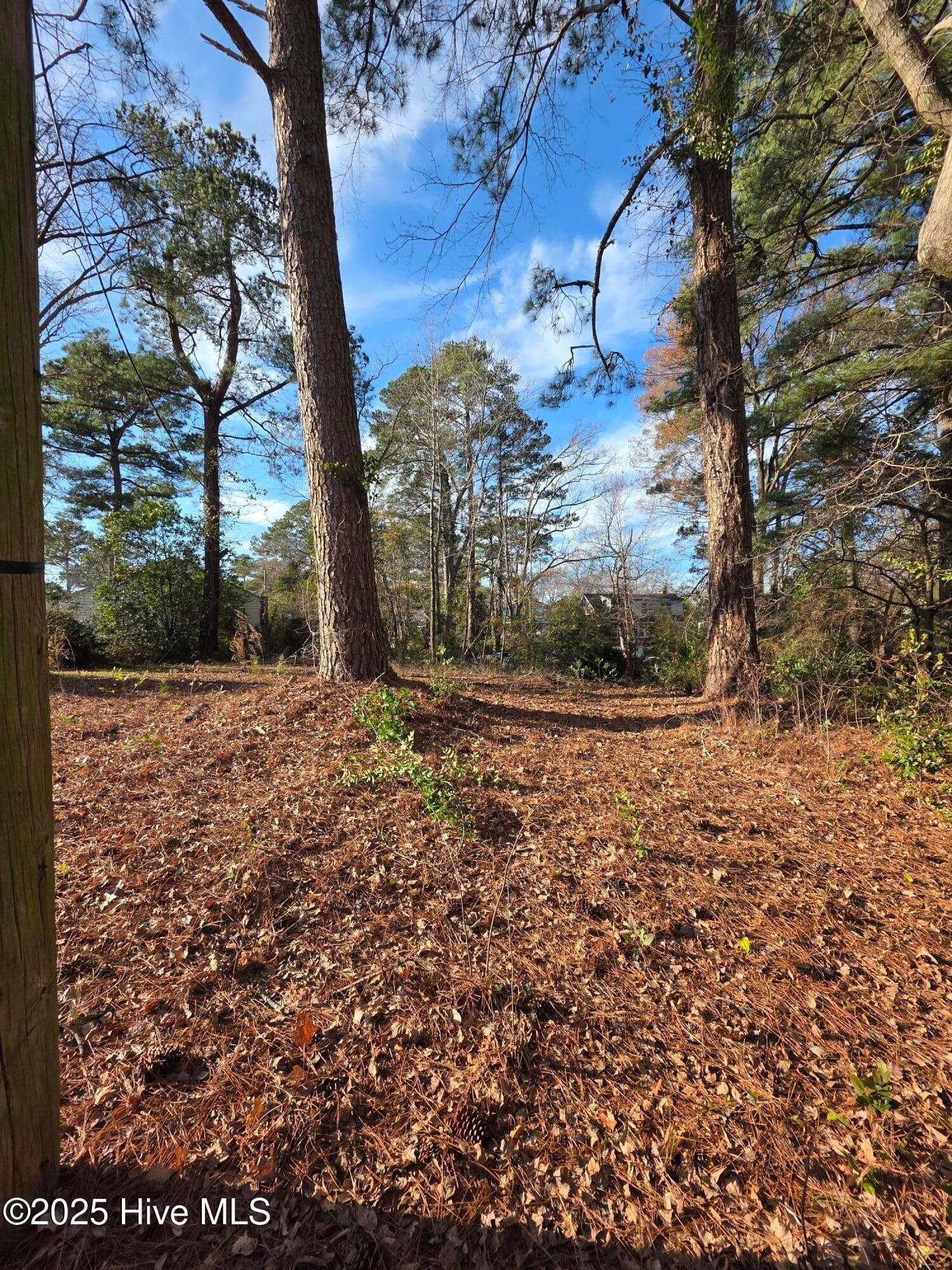 Residential Lot at 404 Summit Avenue, Kinston, NC 28501, photo 6 of 7