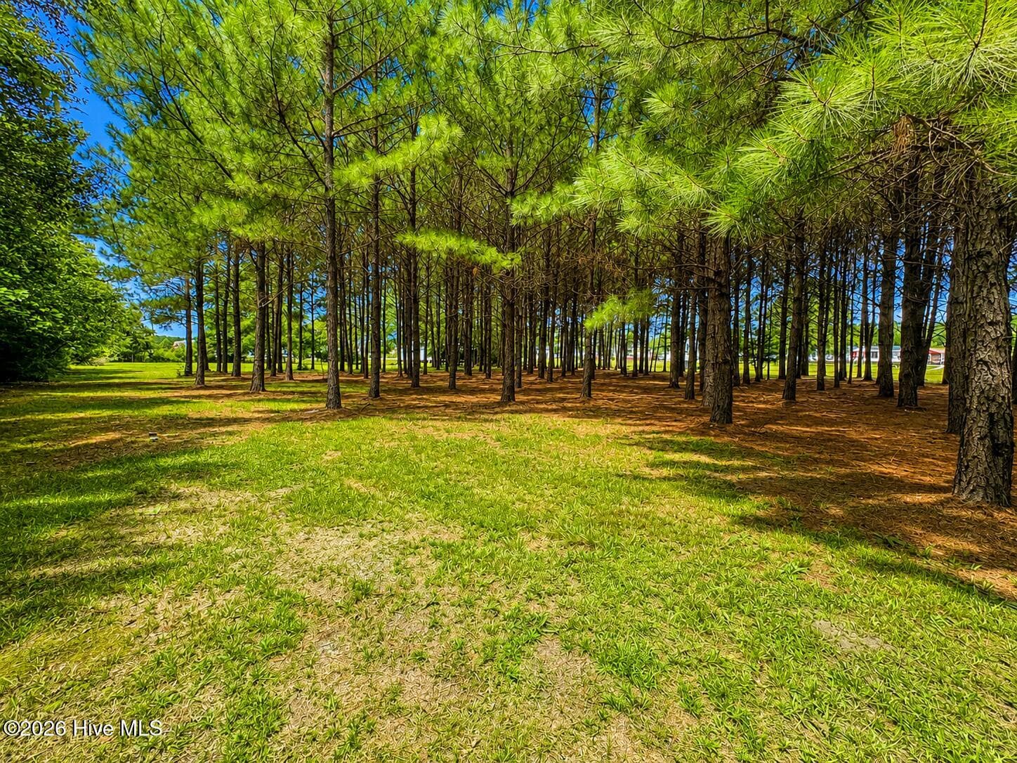 Residential Lot at 28 Bunn Road, Kenly, NC 27542, photo 8 of 11
