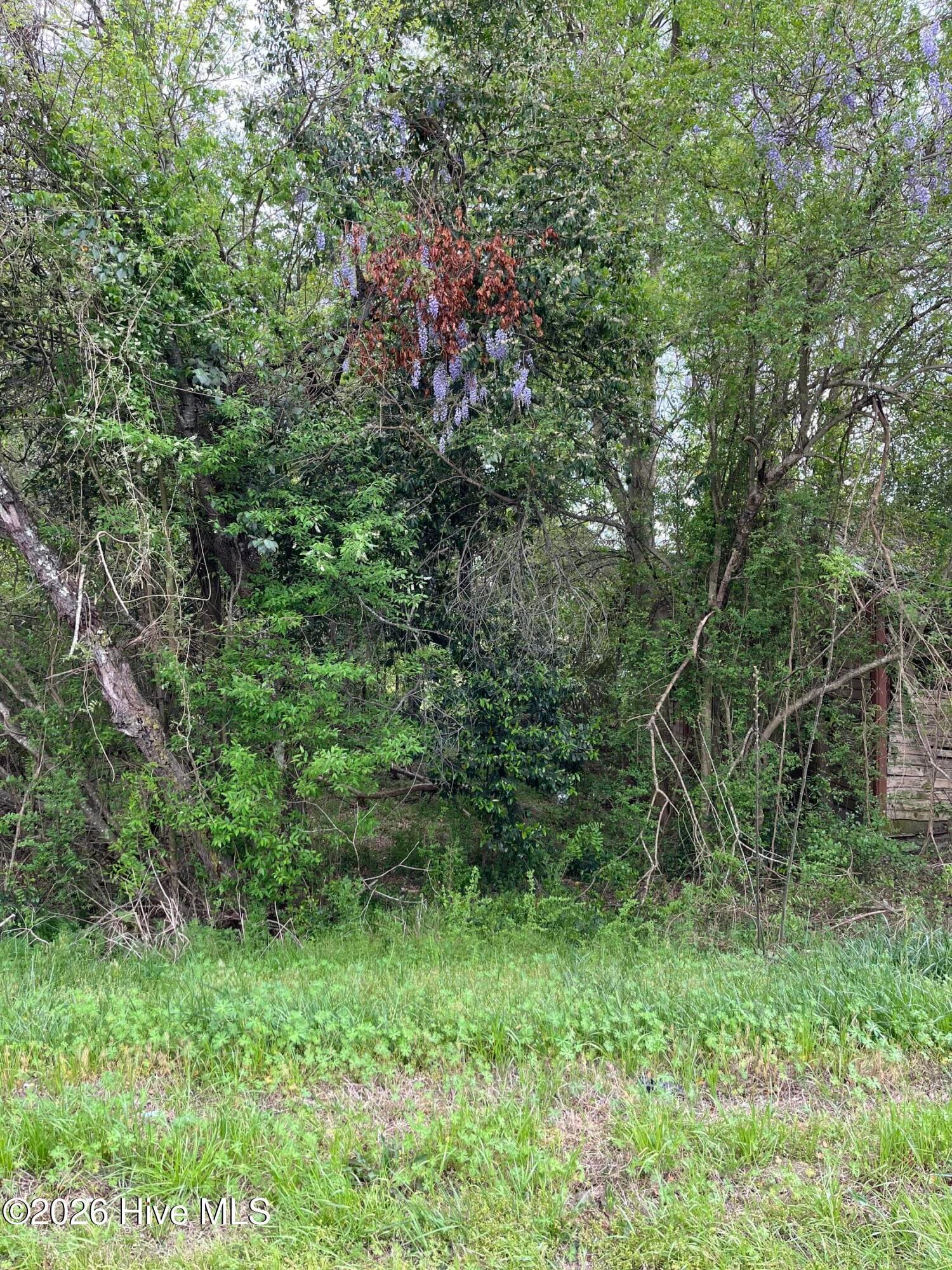 10860 Gibson Road, Laurel Hill, NC 28351