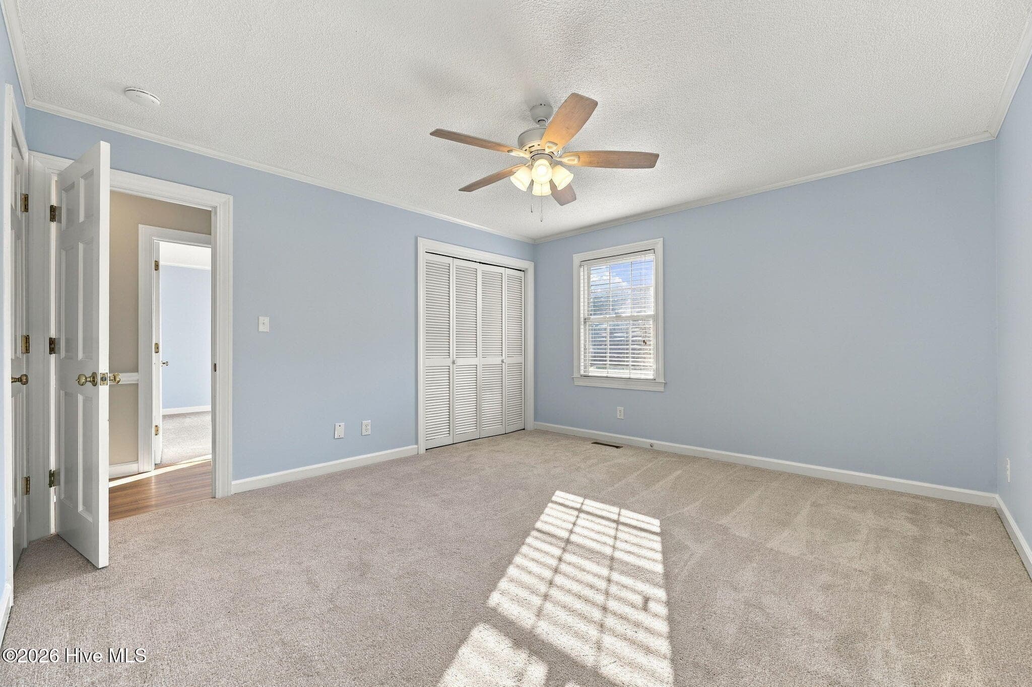 Master bedroom - 109 Hardee Street, Greenville, NC 27858