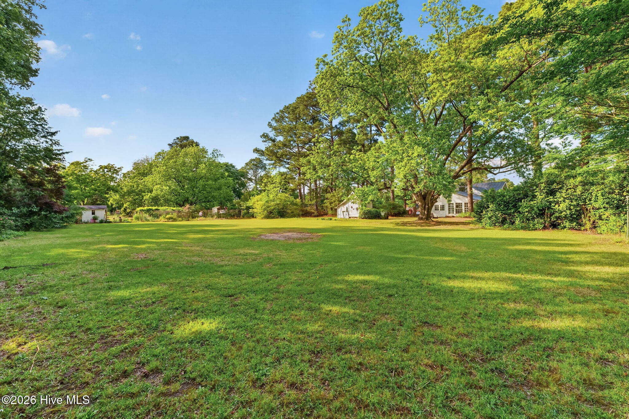 Single Family Residence at 207 W 3rd Street, Princeton, NC 27569, photo 54 of 58