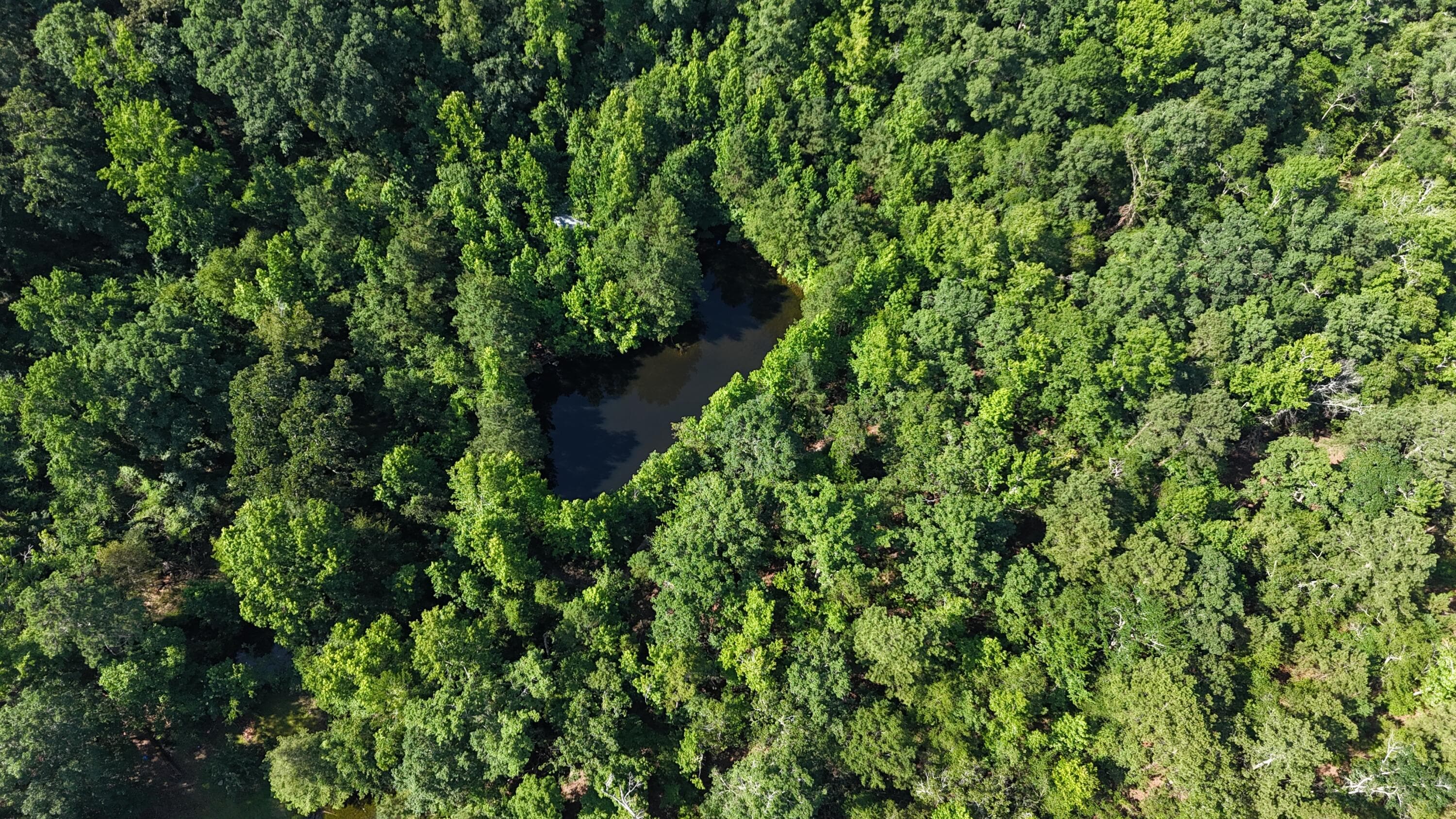 Undeveloped at 2031 Mcdade Road, Hephzibah, GA 30815, photo 15 of 16