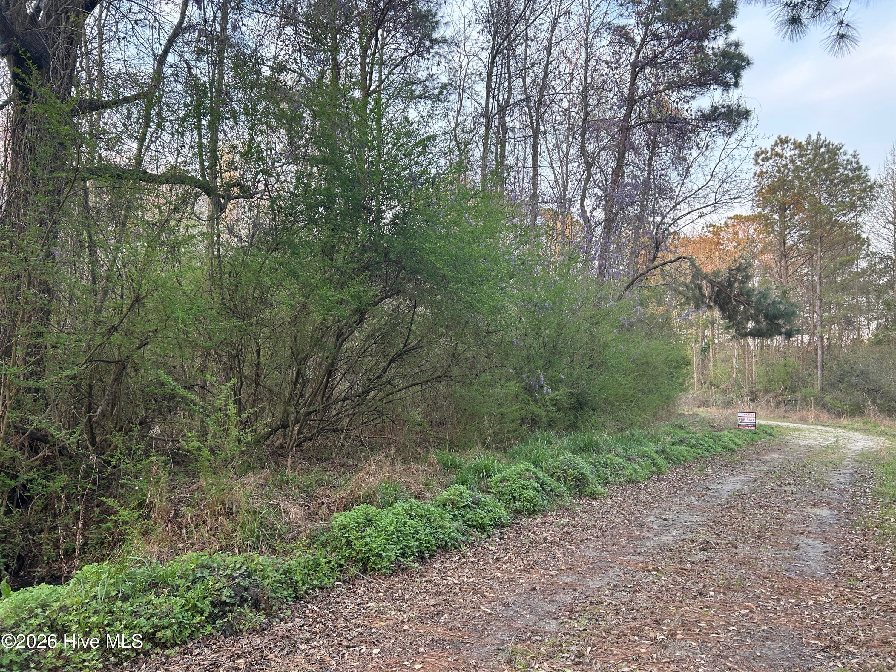 Residential Land at 351 Burgaw Creek Loop Road, Burgaw, NC 28425, photo 17 of 21