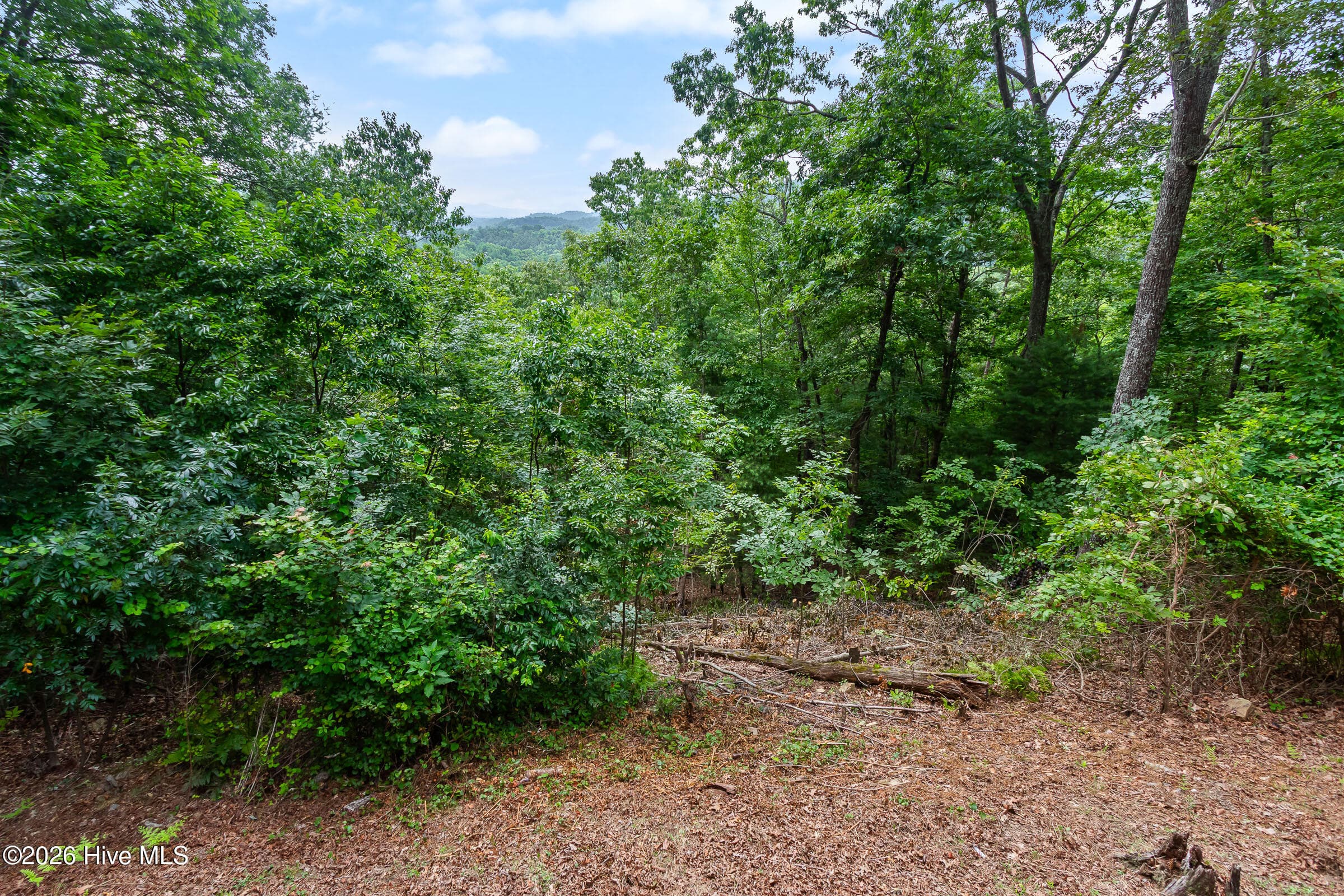 Single Family Residence at 620 Cardinal Road, Murphy, NC 28906, photo 57 of 70