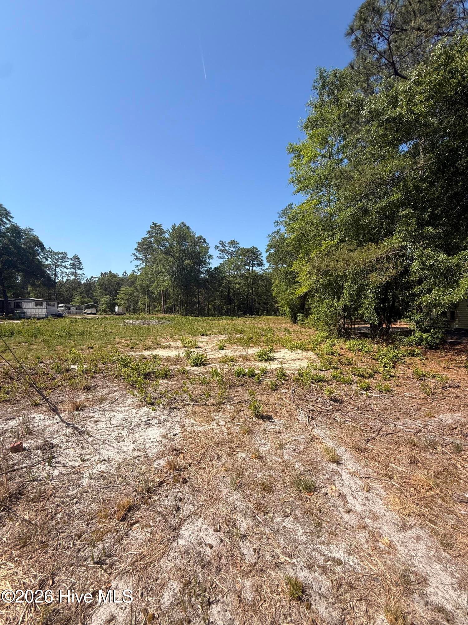 Undeveloped at 1748 Carolina 53, Elizabethtown, NC 28337, photo 2 of 2