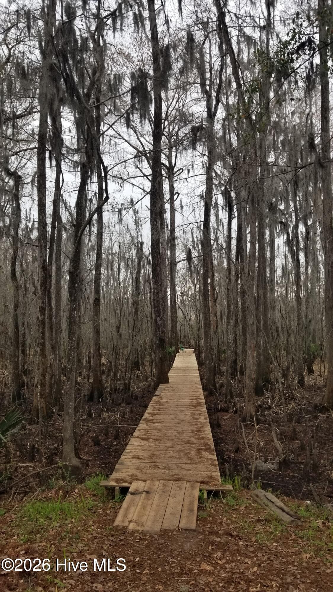 Undeveloped at 3120 Highmarket Street, Georgetown, SC 29440, photo 5 of 7
