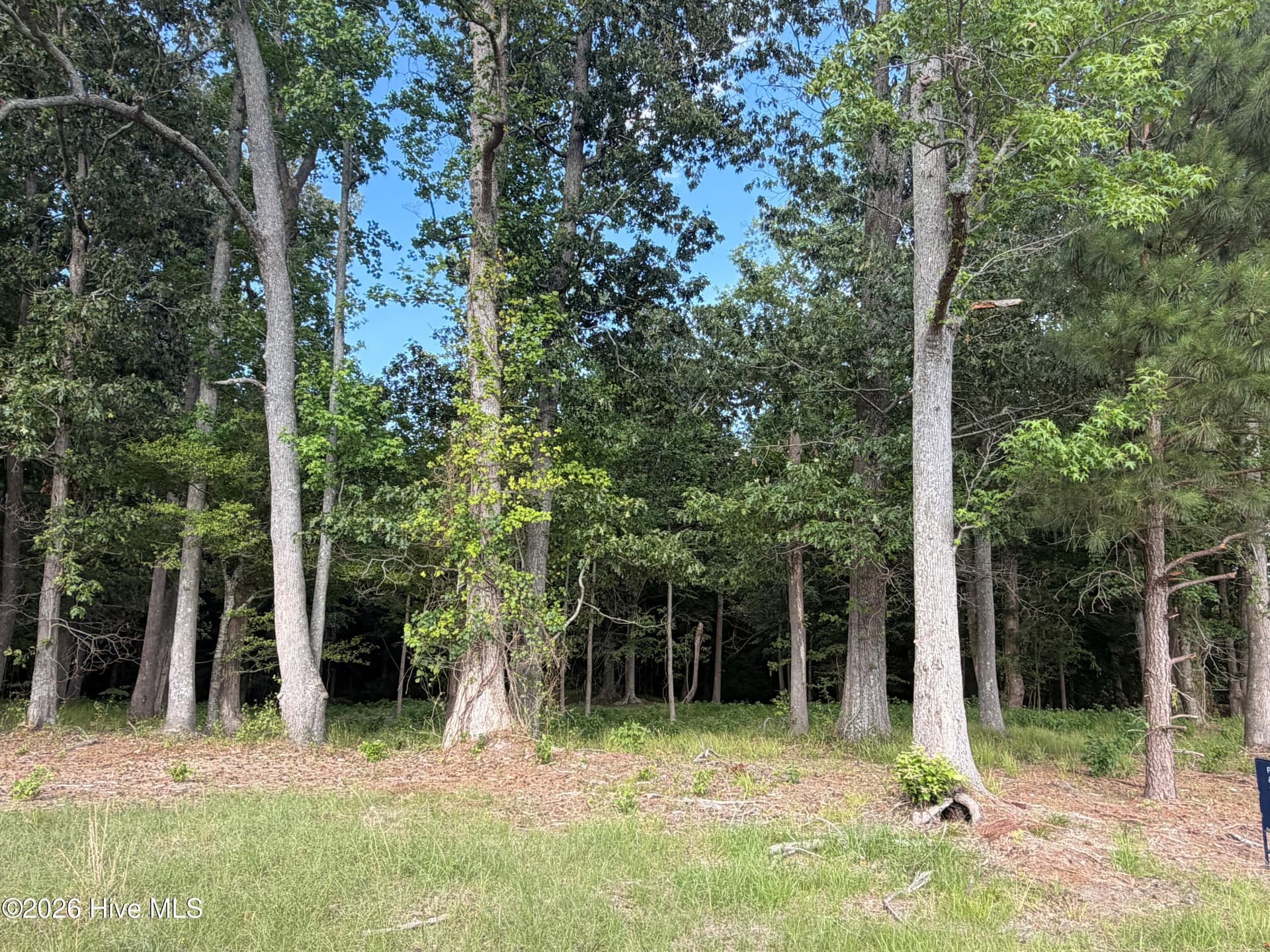 Residential Lot at 506 36/37 Batchelor Bay Drive, Windsor, NC 27983, photo 4 of 14