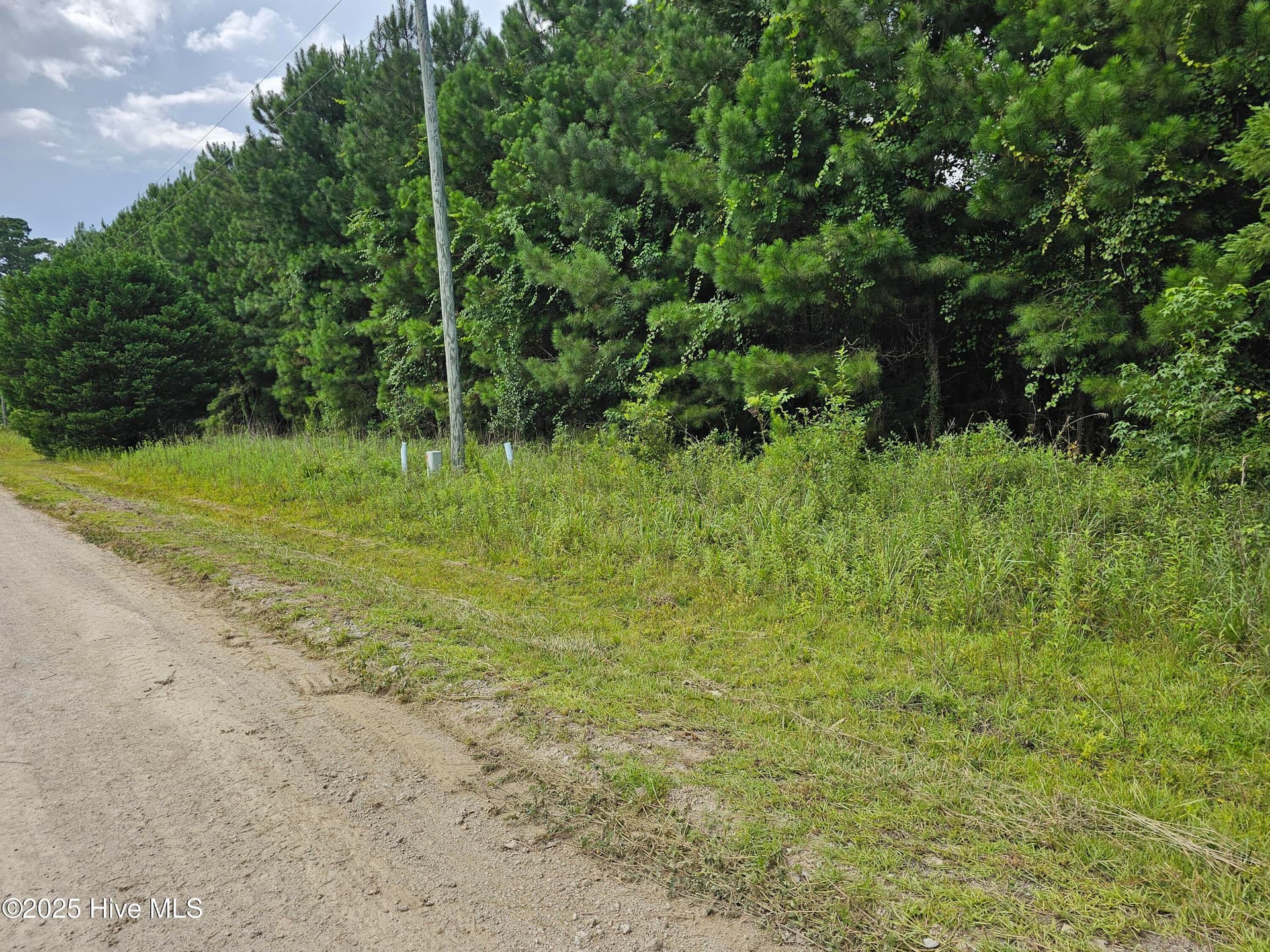 Wooded at Lot 10 & 9 9 and 10 Powell Lane, Loris, SC 29569, photo 3 of 15