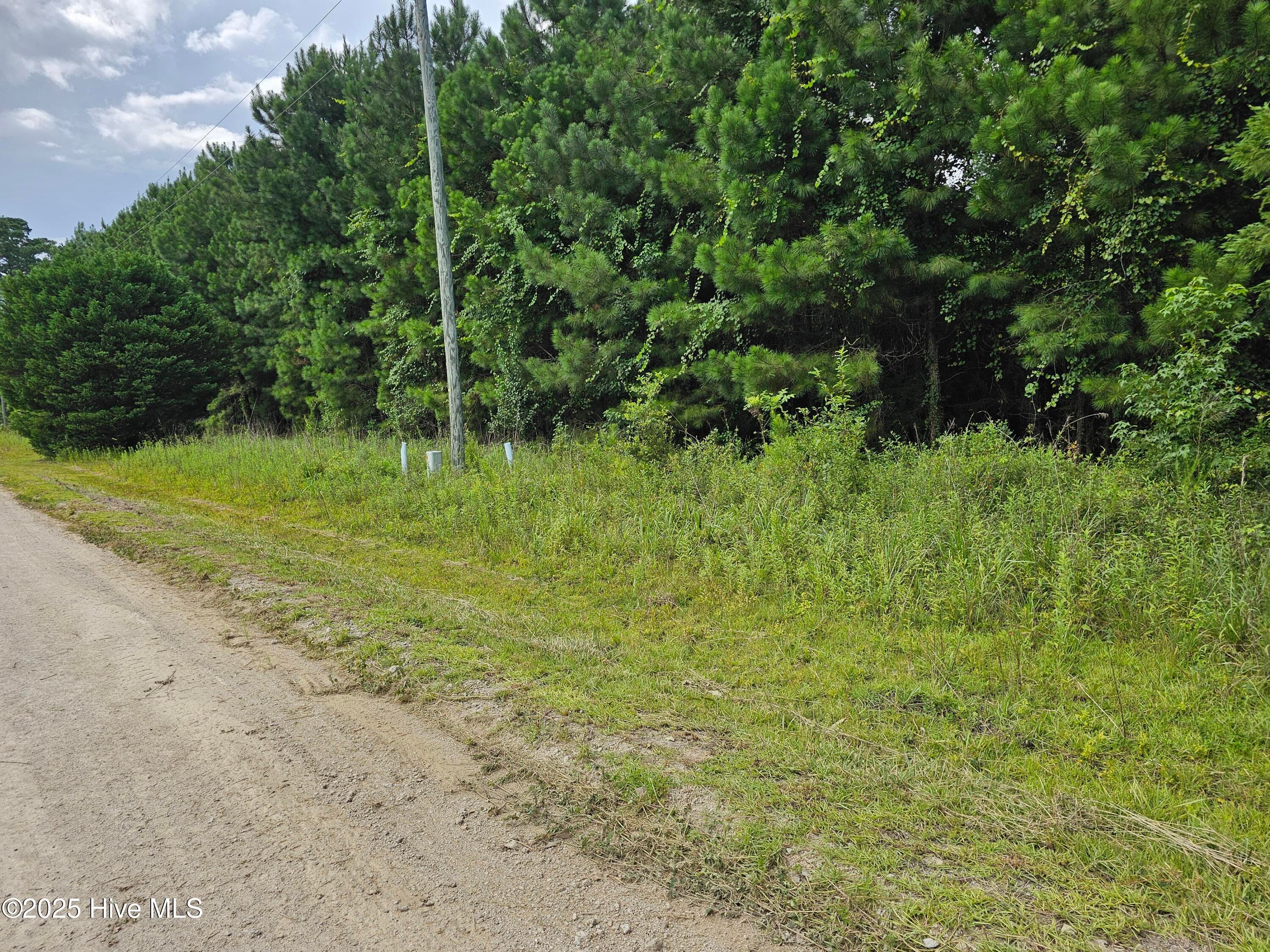 Wooded at Lot 10 & 9 9 and 10 Powell Lane, Loris, SC 29569, photo 3 of 15