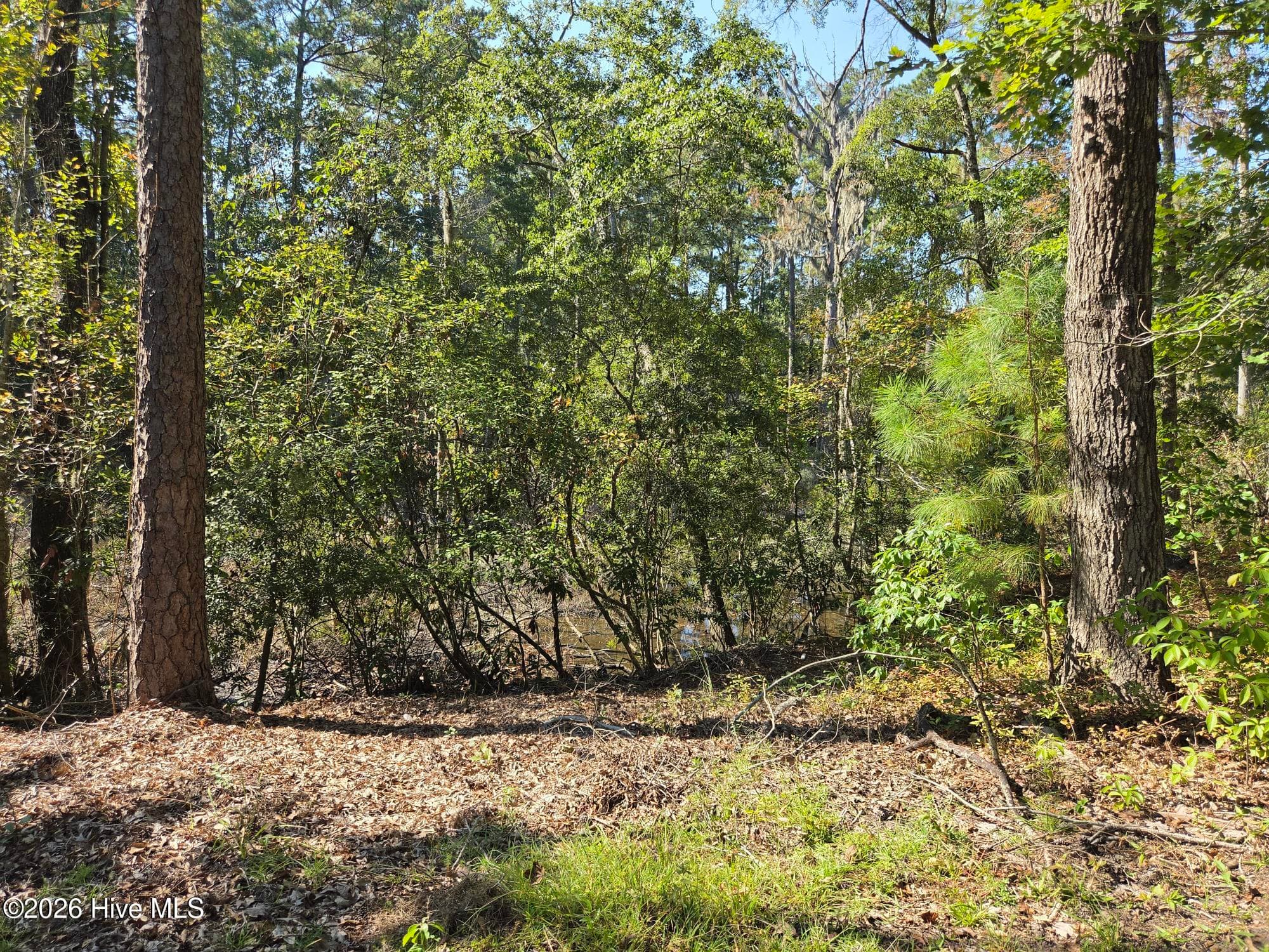 Undeveloped at 321 Bay View Drive, Chocowinity, NC 27817, photo 4 of 12