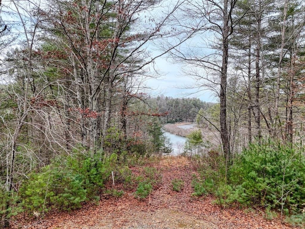 Land at N/A Trillium Heights, Hayesville, NC 28904, photo 12 of 25