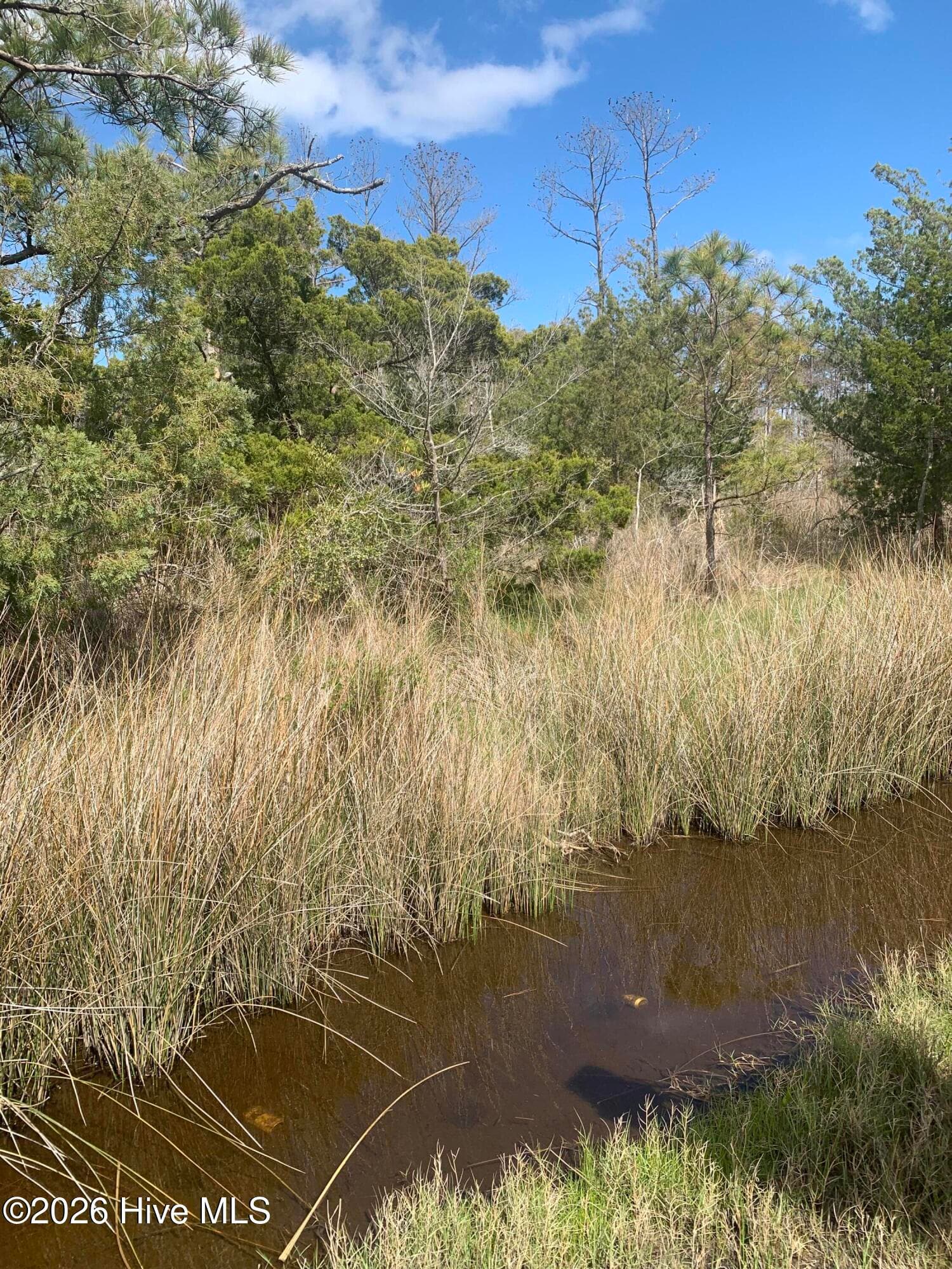 505 Shell Hill Road, Sea Level, NC 28577