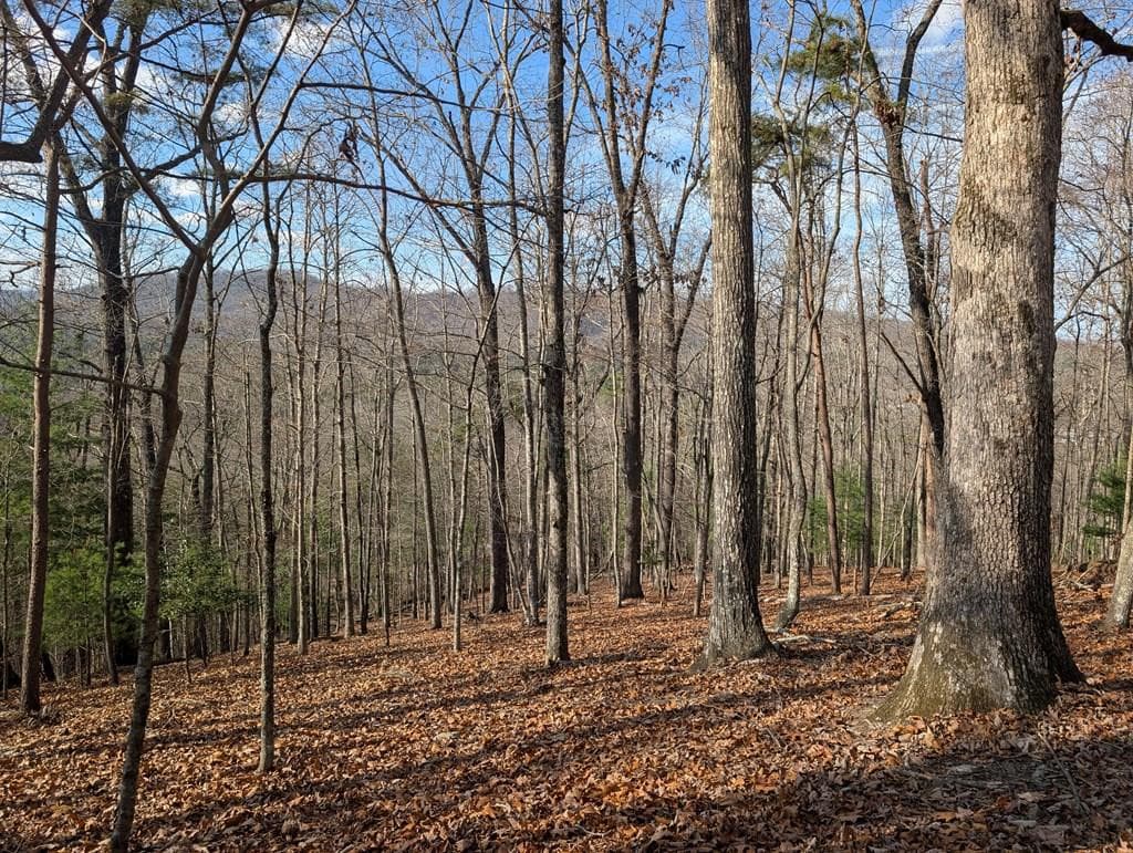 902 15B Mountain Top Drive, Murphy, NC 28906