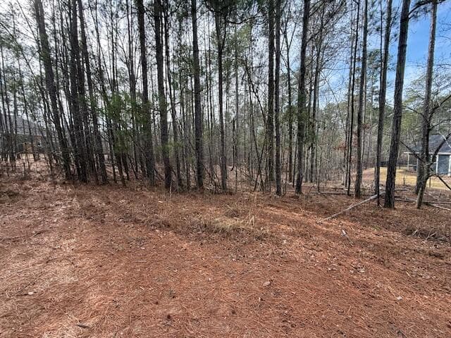 Residential Lot at 14-33 Kristen Lane, McCormick, SC 29835, photo 2 of 5