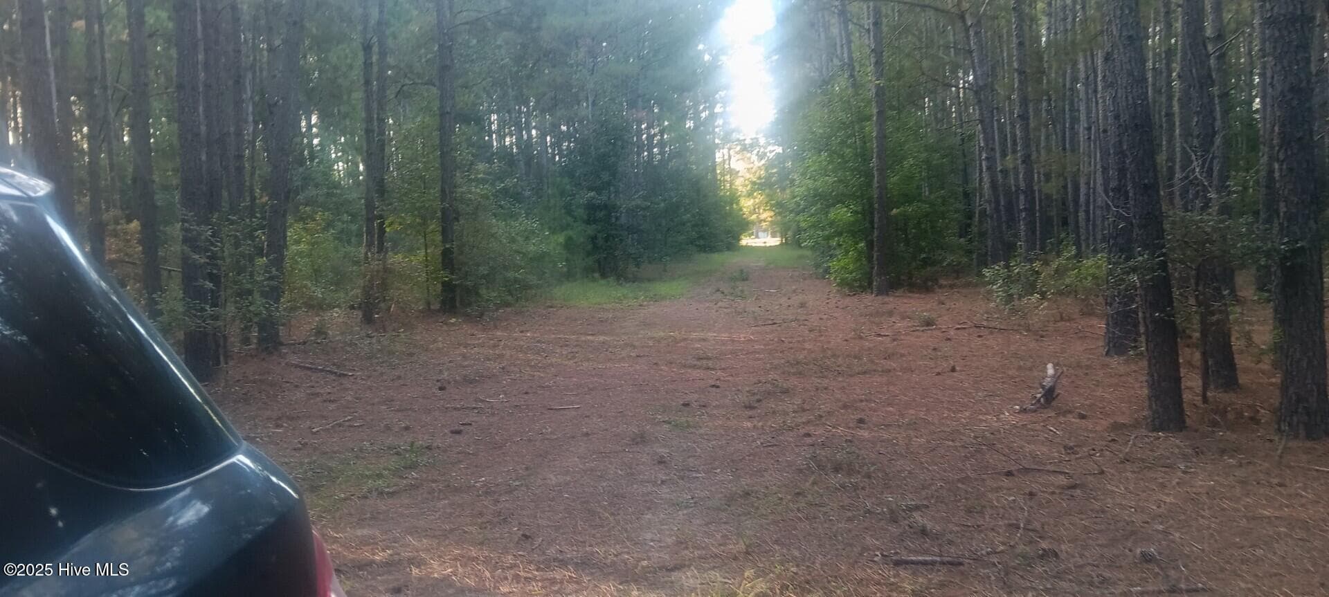 Residential Lot at 0 6 Hwy 53, Burgaw, NC 28425, photo 2 of 5