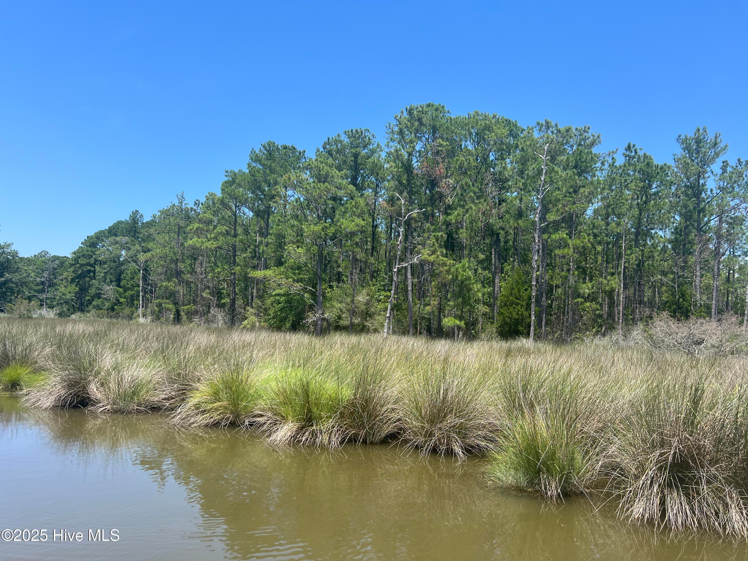 Residential Lot at 9918 Canady Landing Road, Aurora, NC 27806, photo 9 of 12