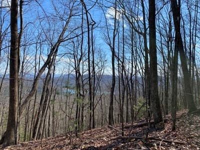 Residential Lot at Lot 1 1 High Country Lane, Morganton, GA 30560, photo 2 of 8