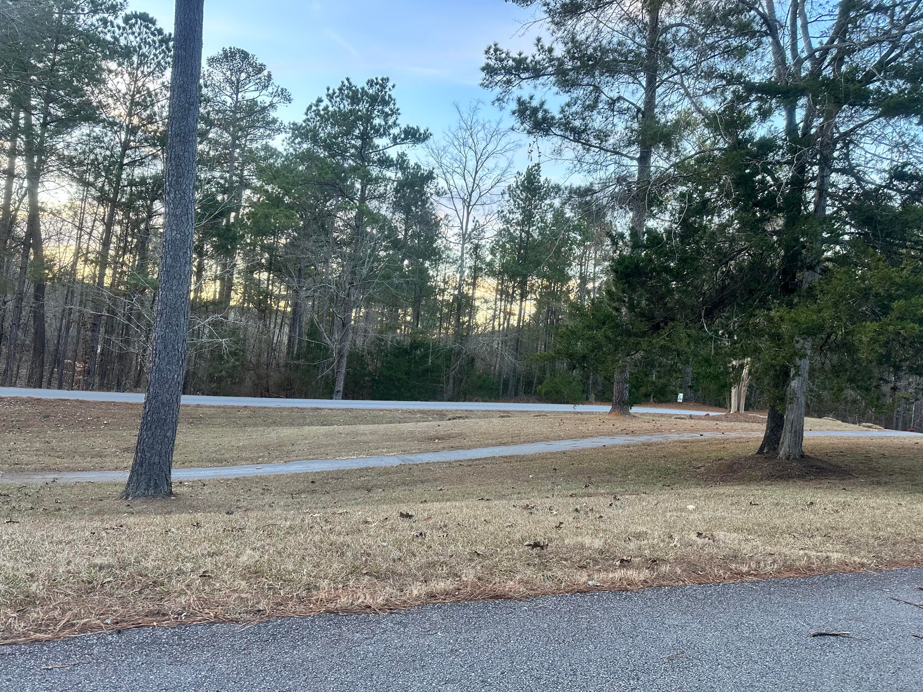 Undeveloped at 101 Bereau Drive, McCormick, SC 29835, photo 8 of 9