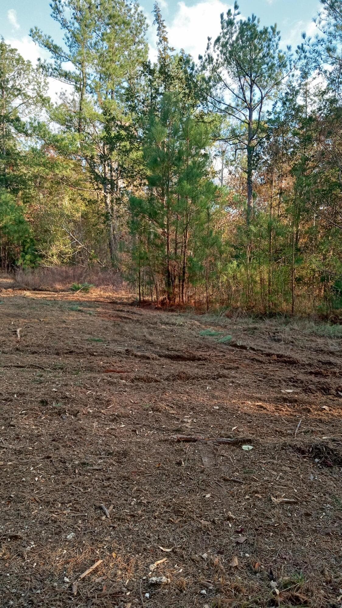 Residential Lot at 2722 Sc-23, Modoc, SC 29838, photo 28 of 62